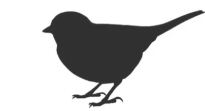 bird+silhouette.jpg
