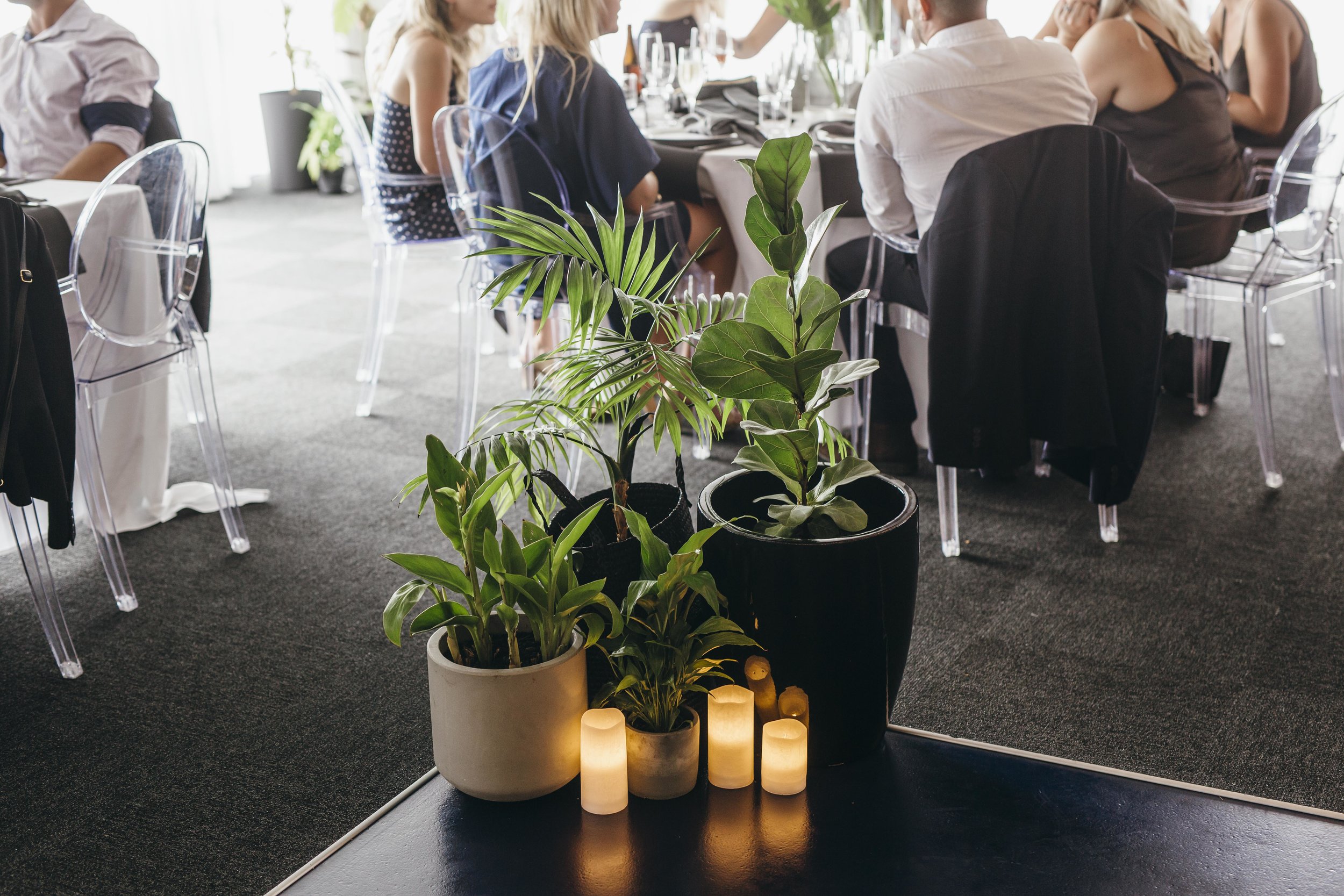 S&A LEAN WED-2198-2.jpg