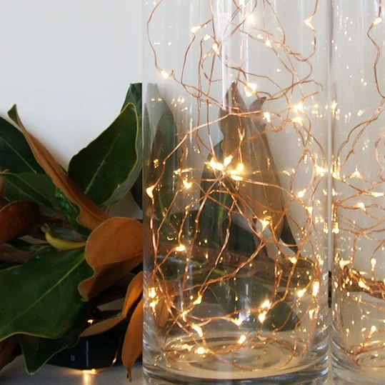 Copper+Seed+Lights+.jpg