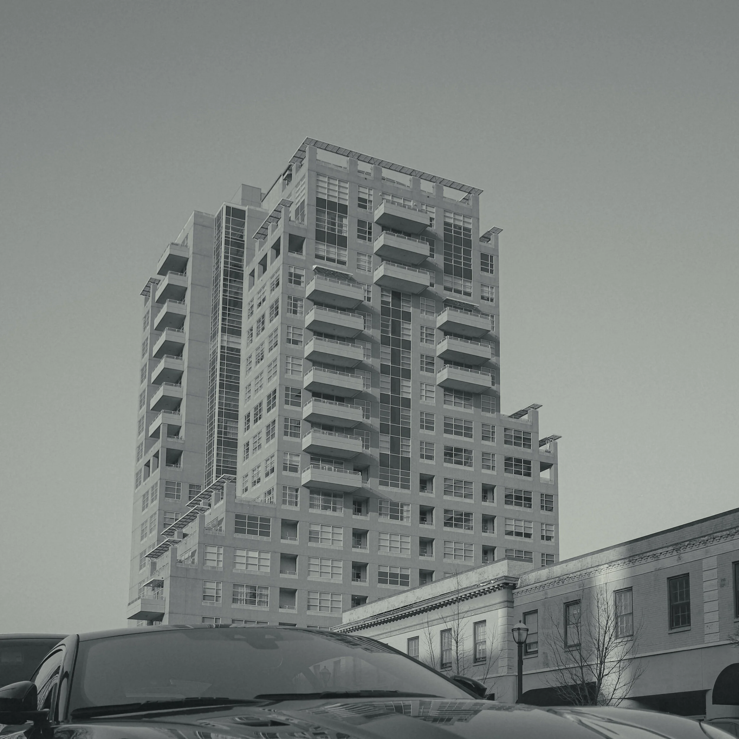 b&w9 (1 of 1).jpg
