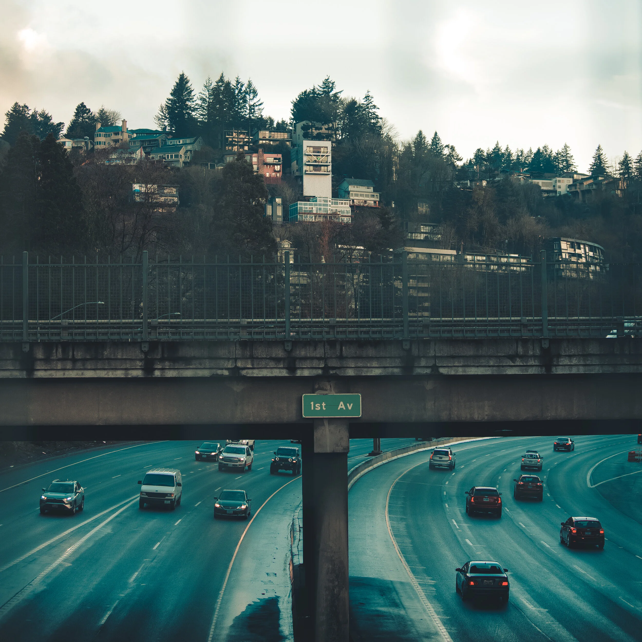 0P6A0390.jpg