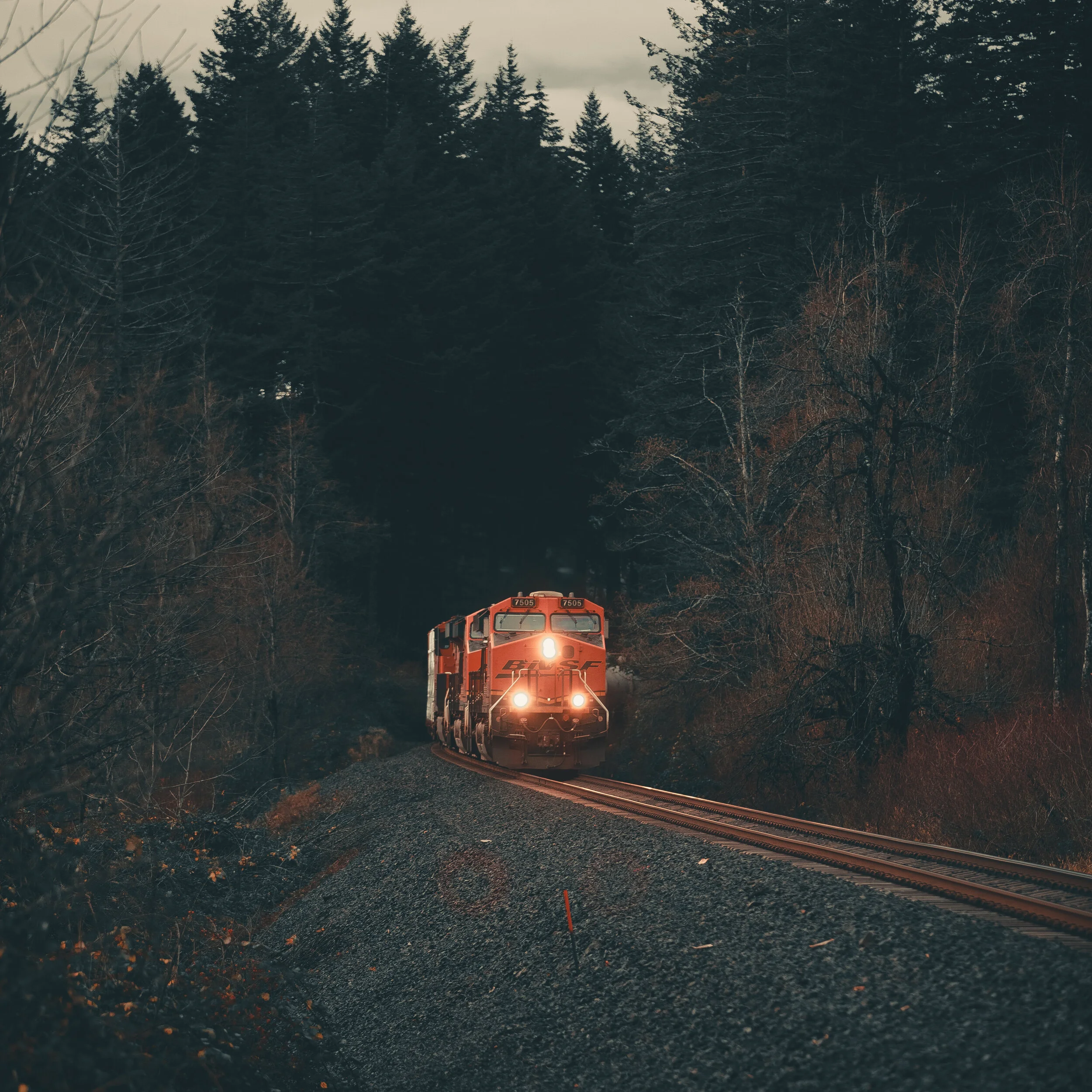 0P6A0472.jpg