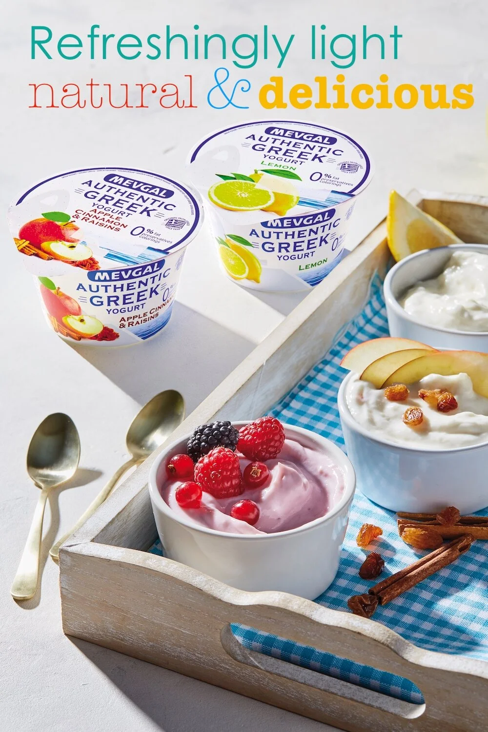Mevgal Greek Yogurt Hong Kong — Levant Foods Hong Kong