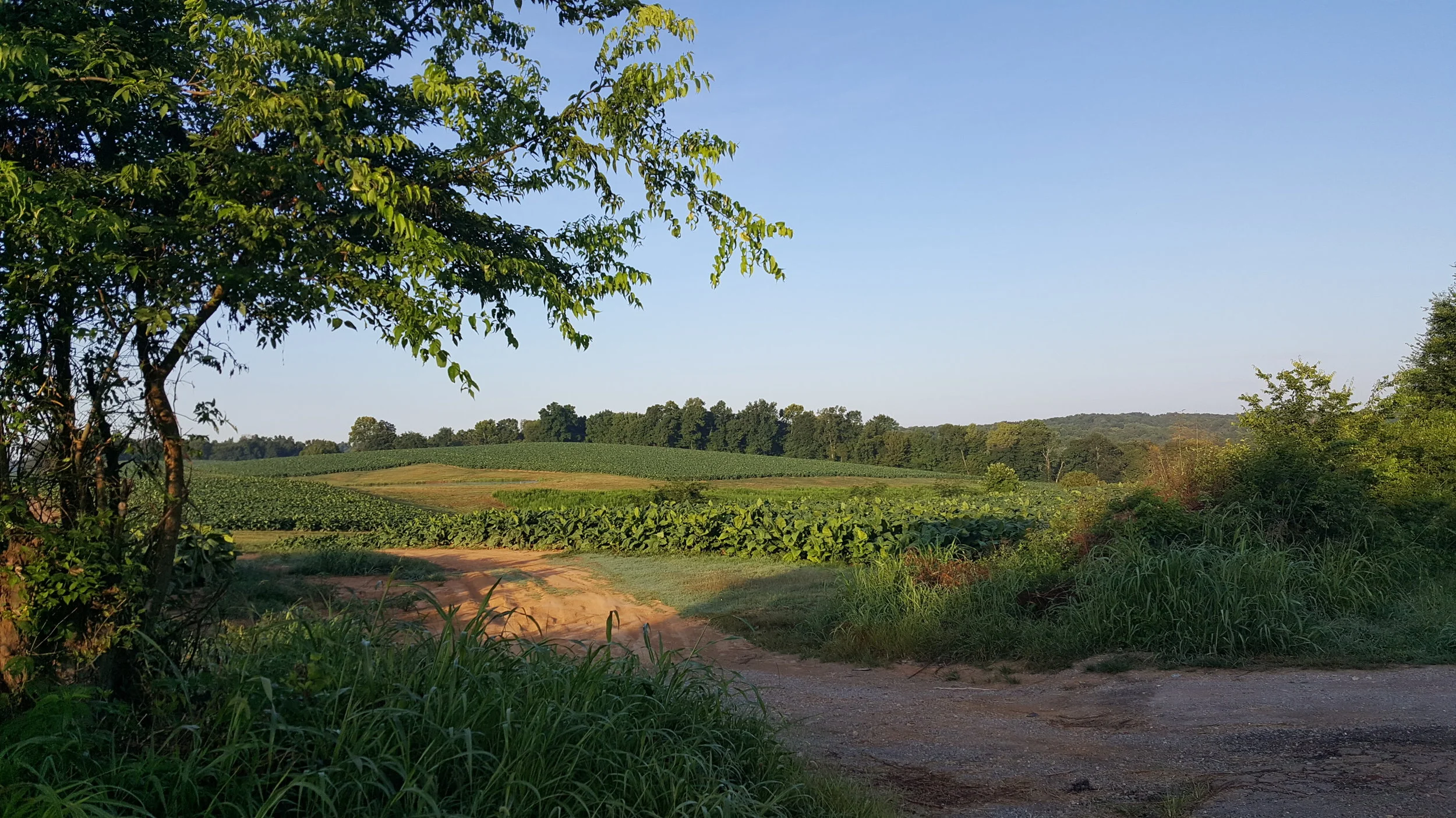 20180807_065621.jpg