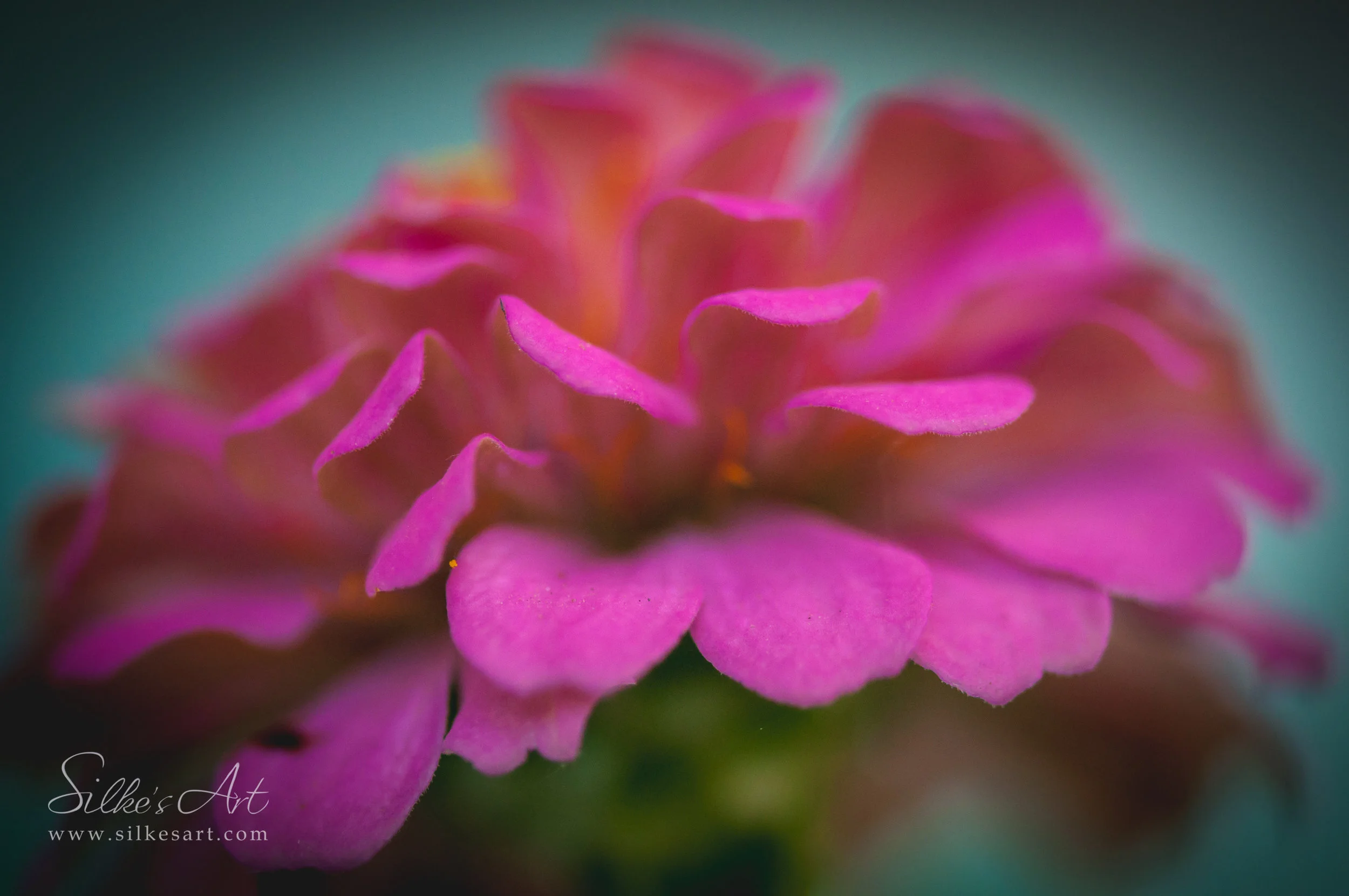 Silke's Art-0006.jpg