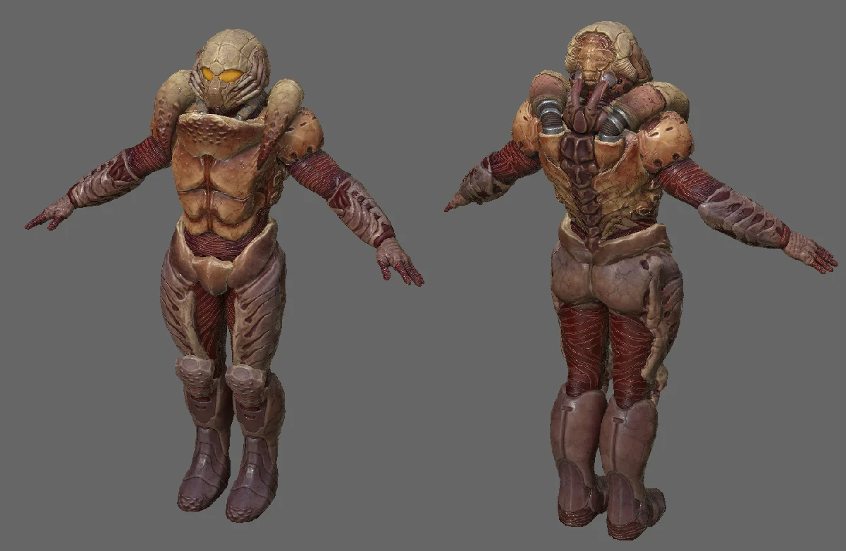 The Chitin Armour