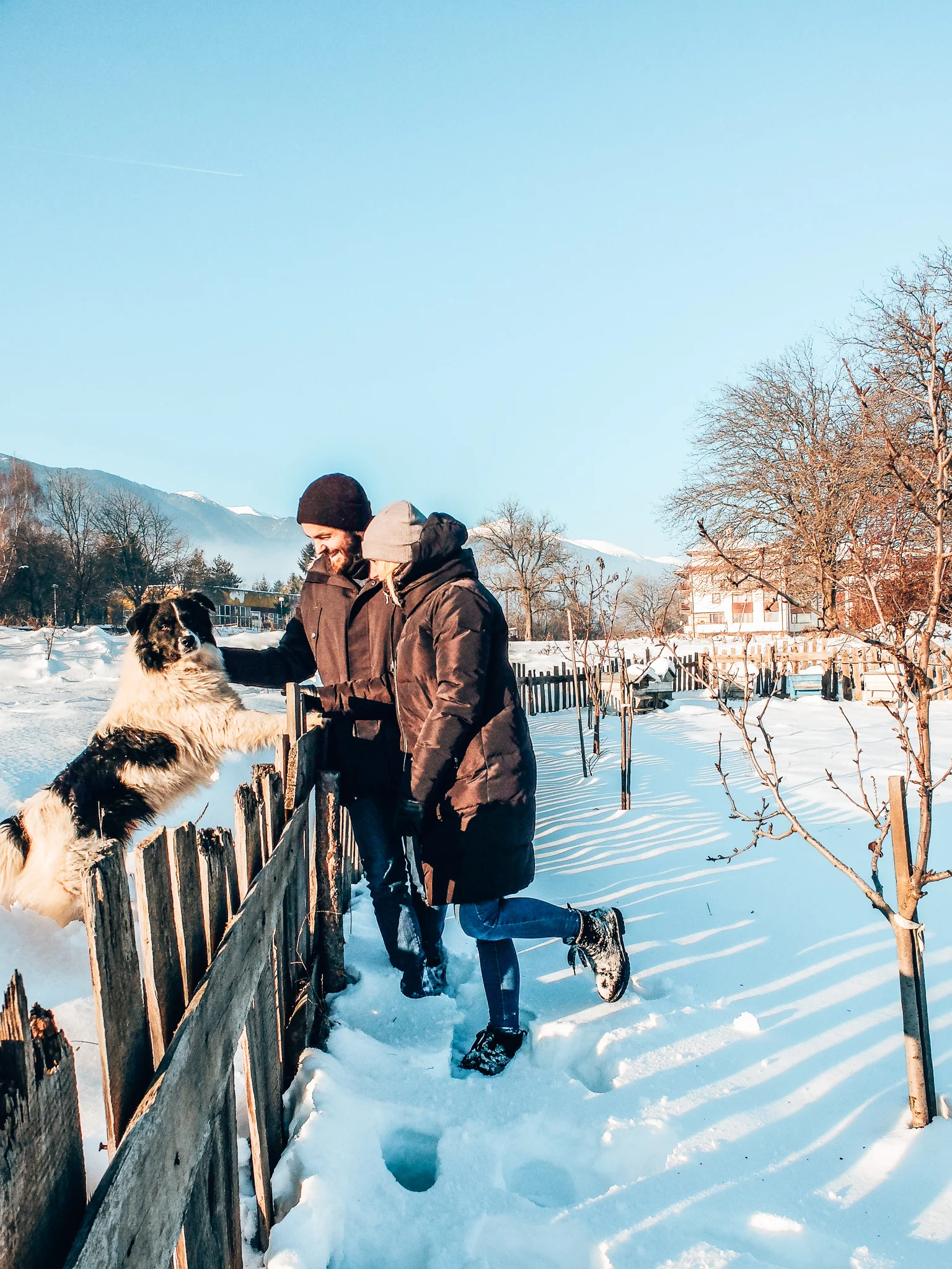 Bansko - budget holiday/couple with dog in snow