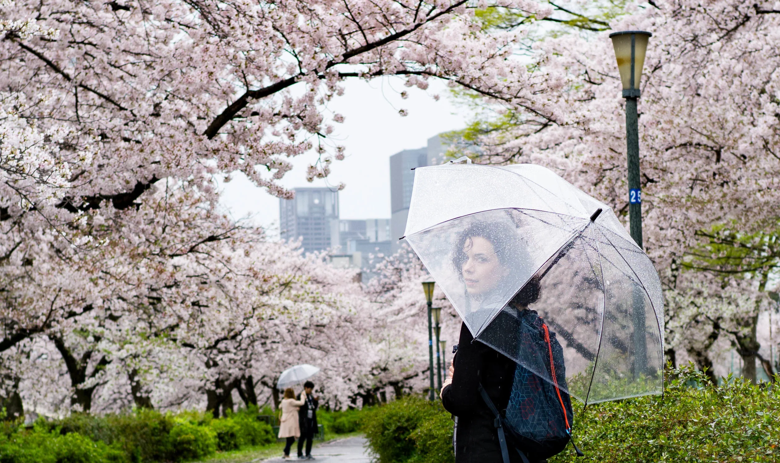Japan-13.jpg