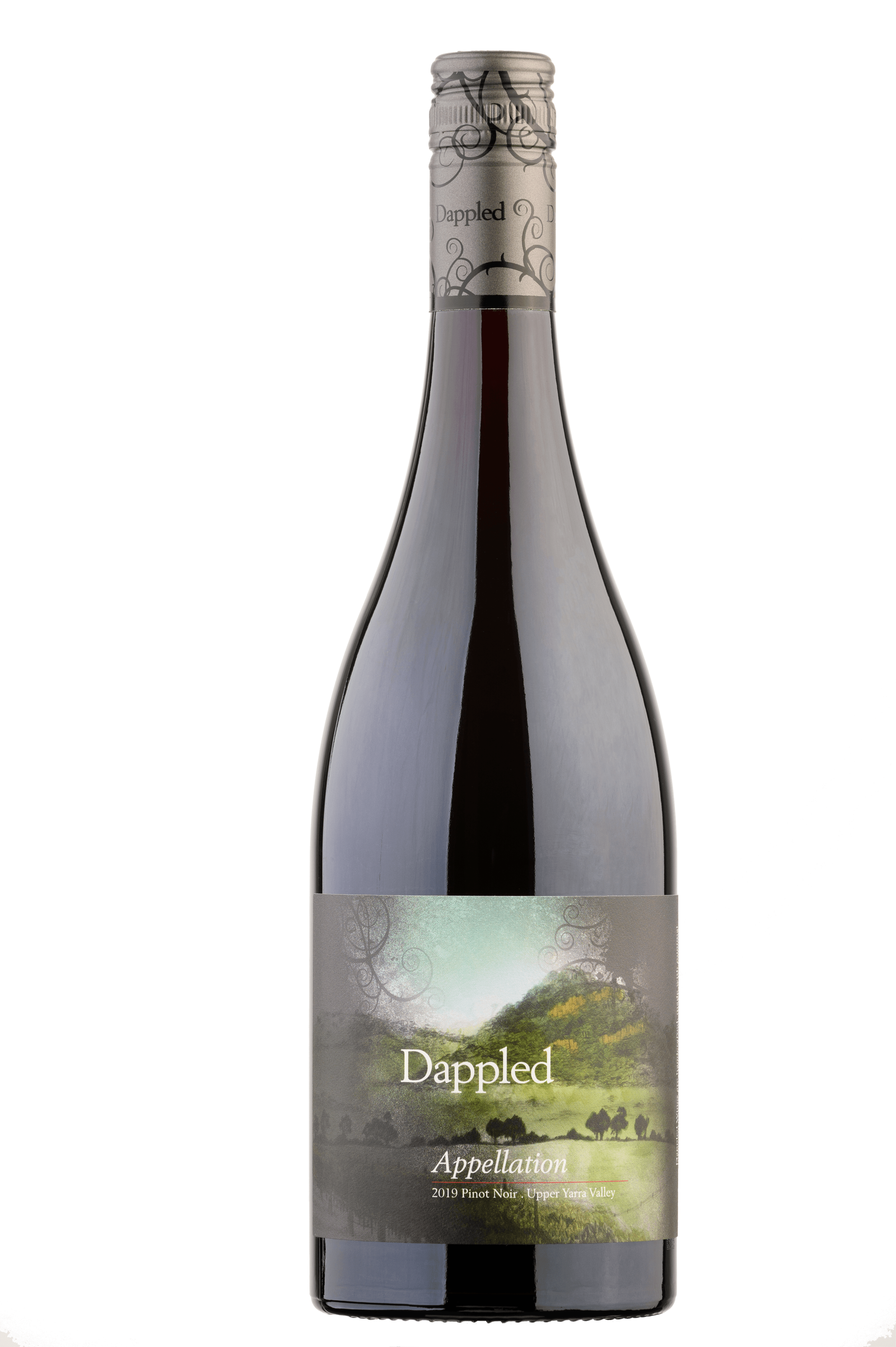 Pinot Noir_Dappled_21Feb2020-048.png
