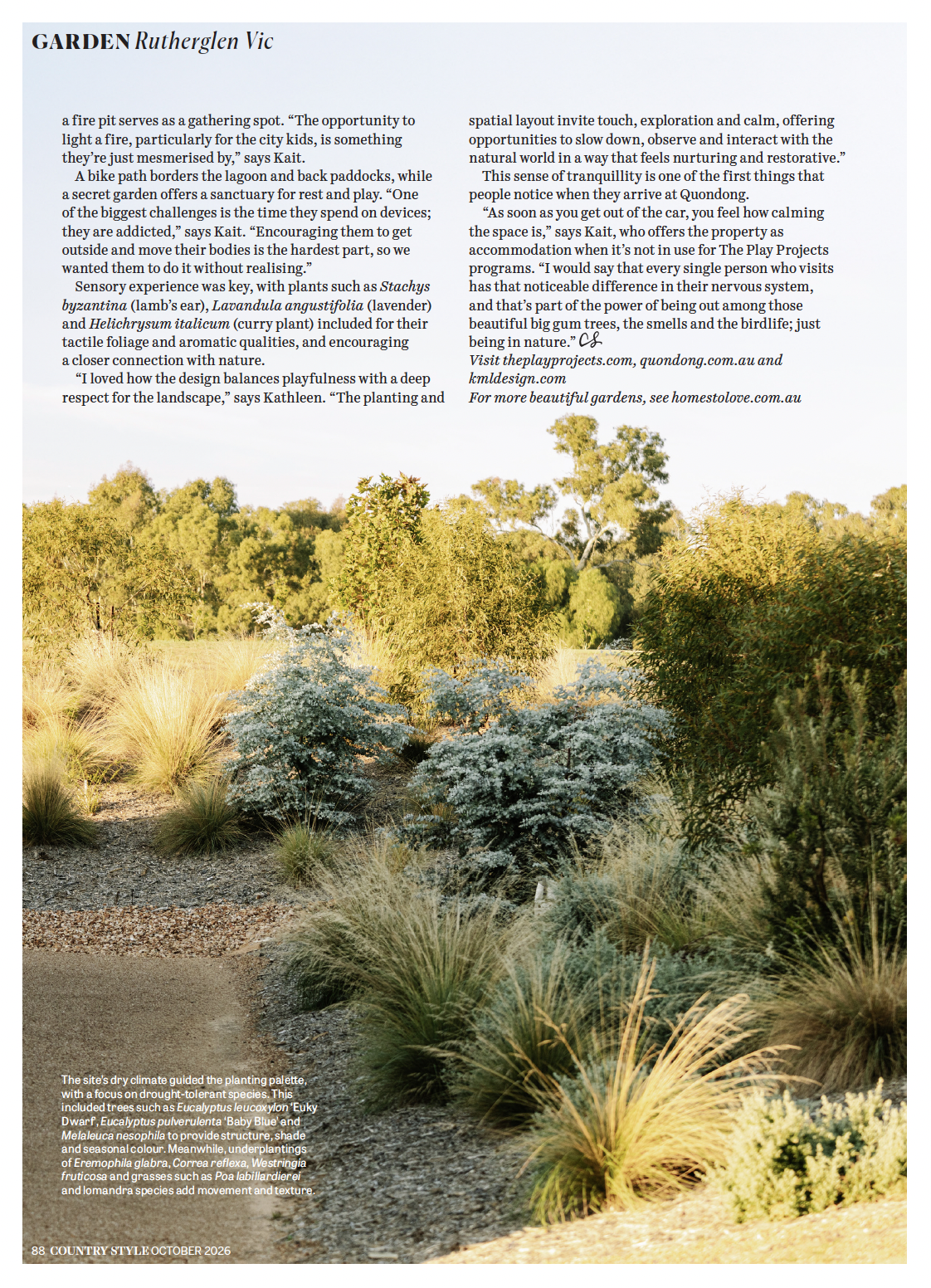 quandong5.png