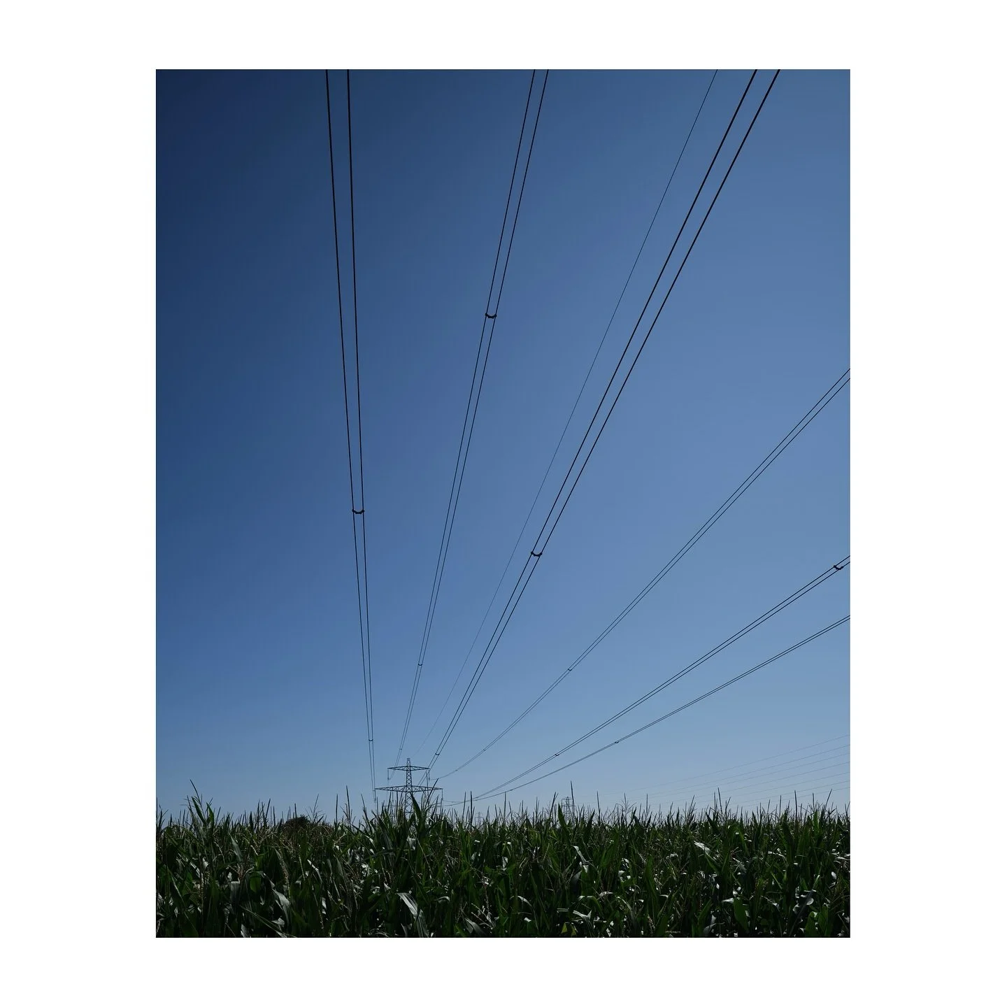 Corn Pylon.
.
.
.
.
.
#corn #pylon #cornpylon #fujifilmgfx100sii #spiritualized #electric #fujifilmgf30mmf56ts #bluesky