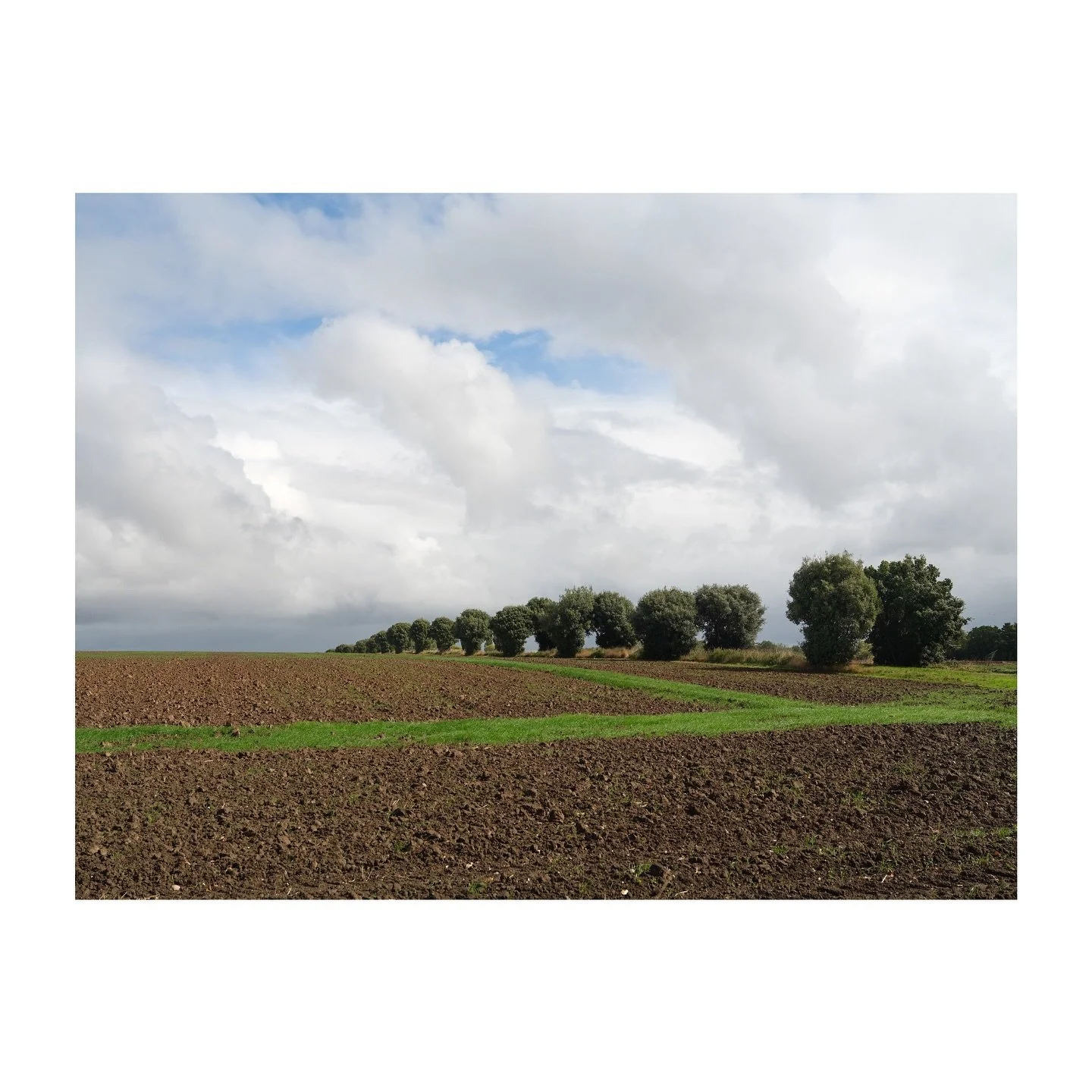 The edge of two fields.
.
.
.
.
.
#field #farmland #fujifjlmgfx100sii #kent #minster #autumnlight