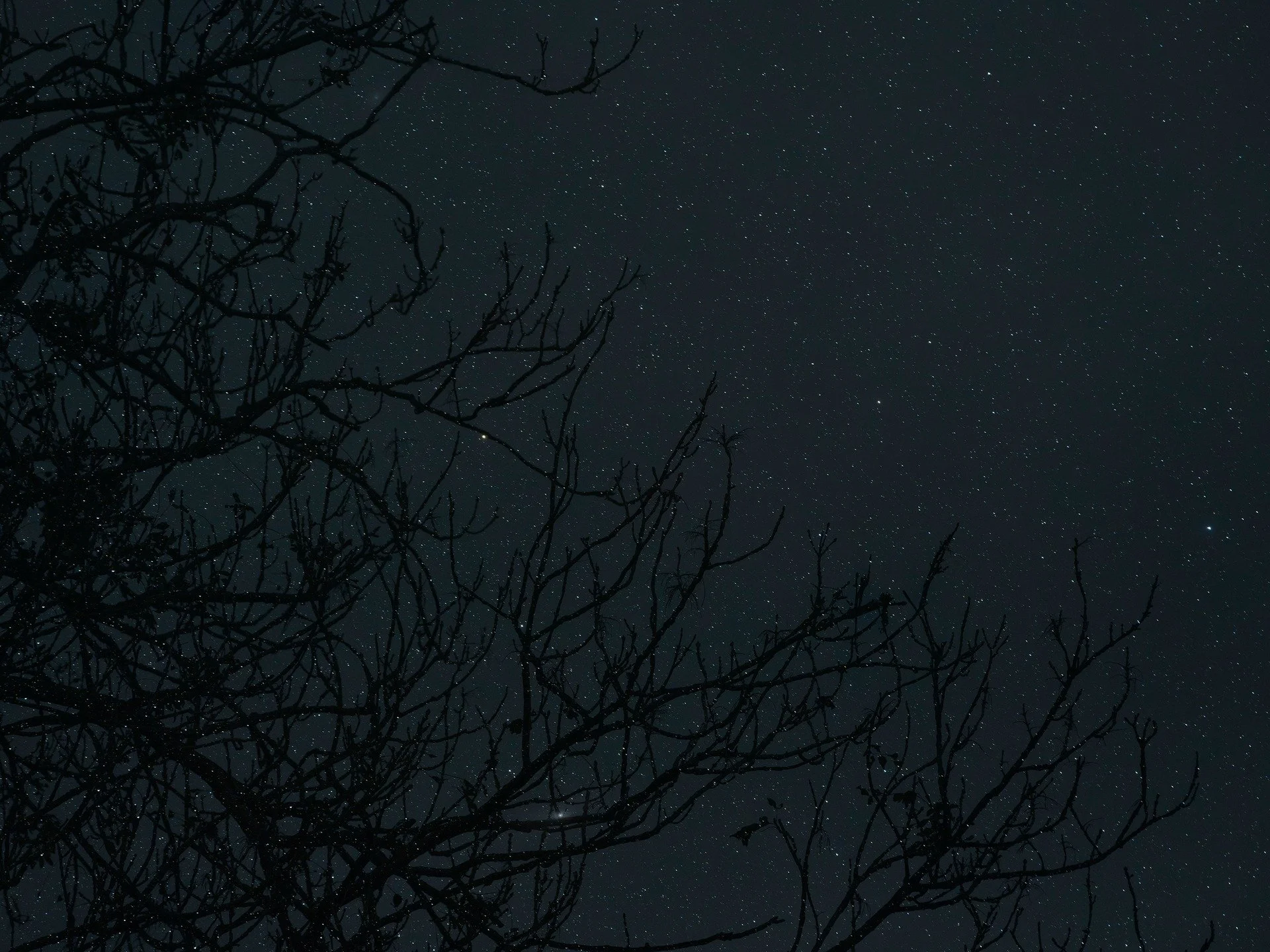 I am very excited about this online panel discussion that I have curated alongside my exhibition 'Earth, a Cosmic Spectacle' at @everybodyarts_ 🌠 Join us to reflect on and learn more about astronomy, the formation of life on Earth and your place in 