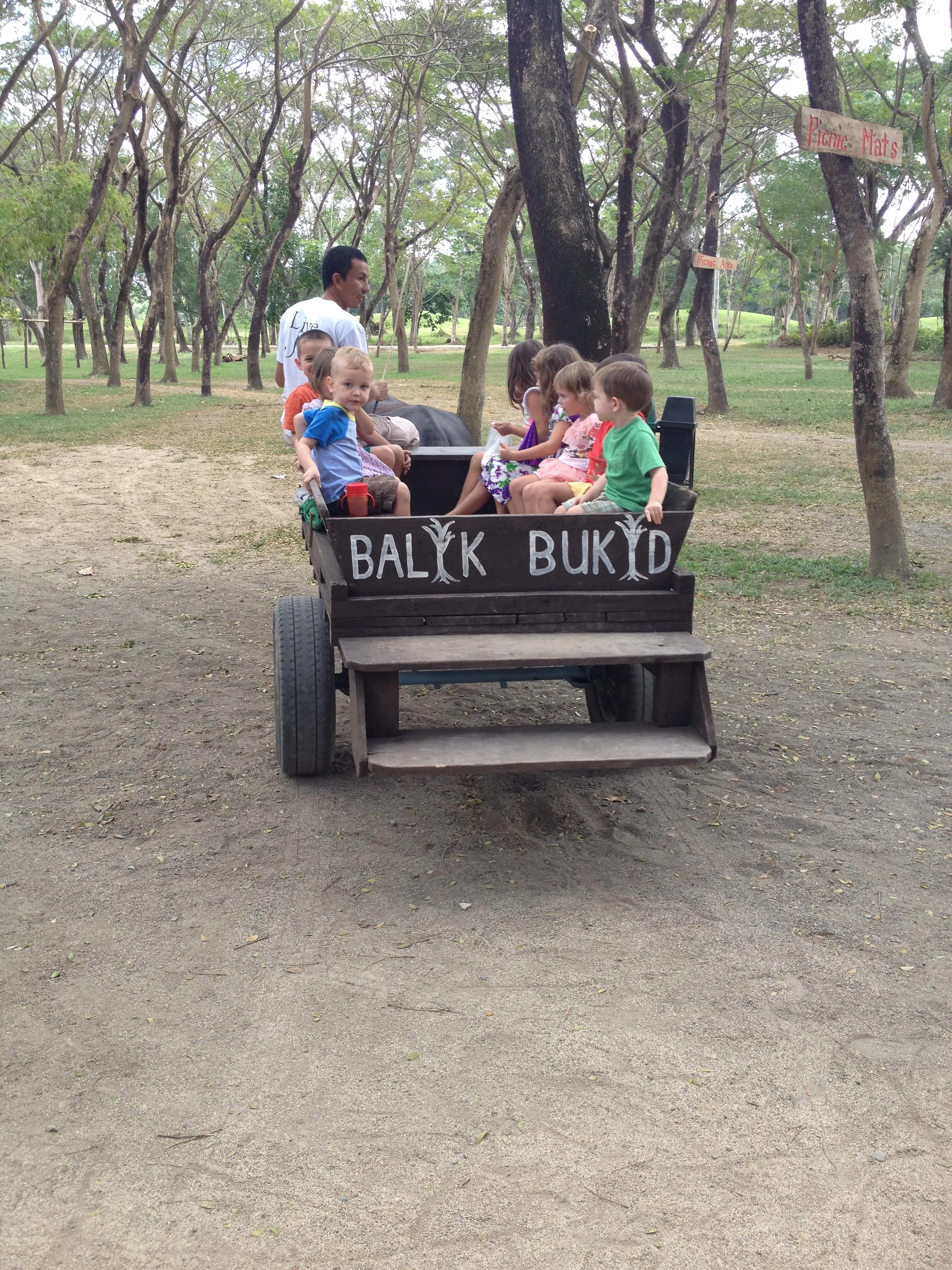 Balik Bukid