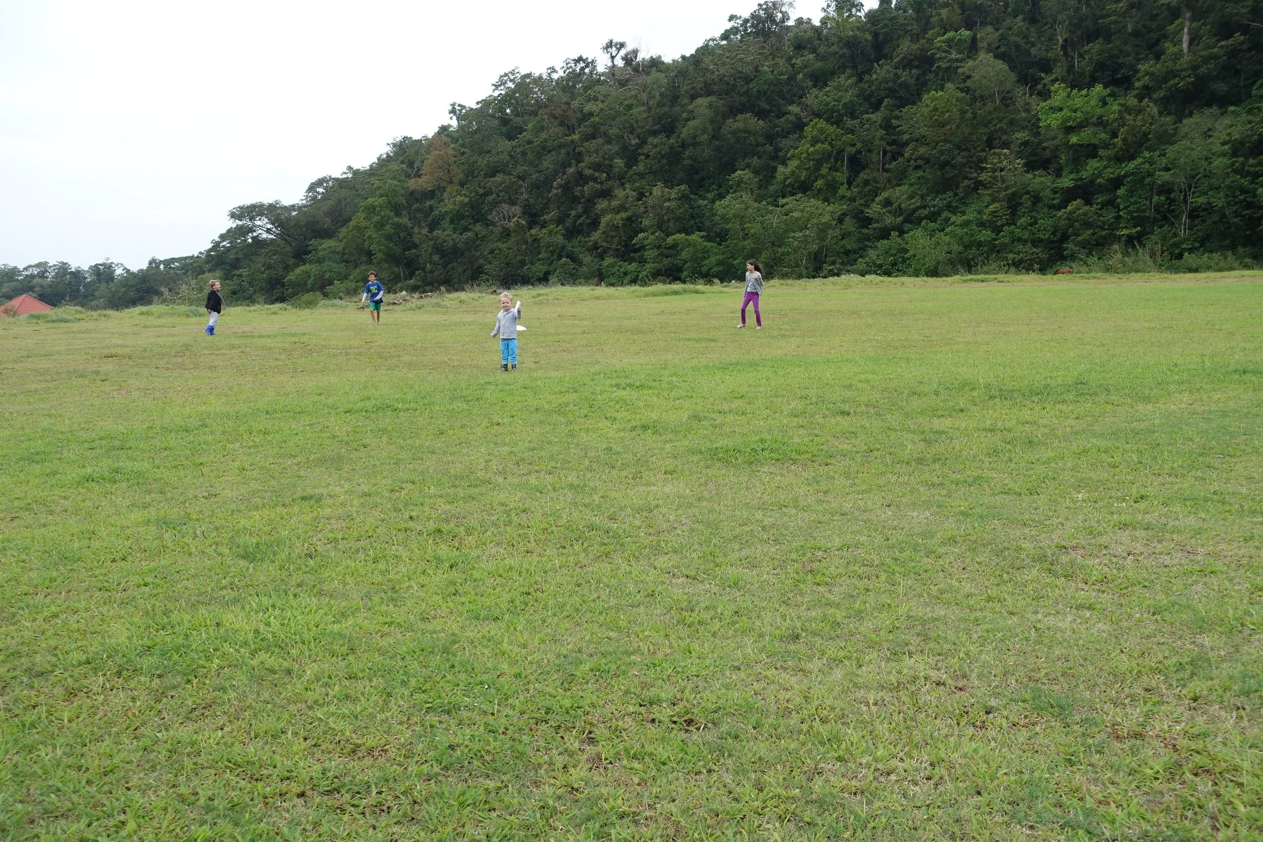 DSC05215