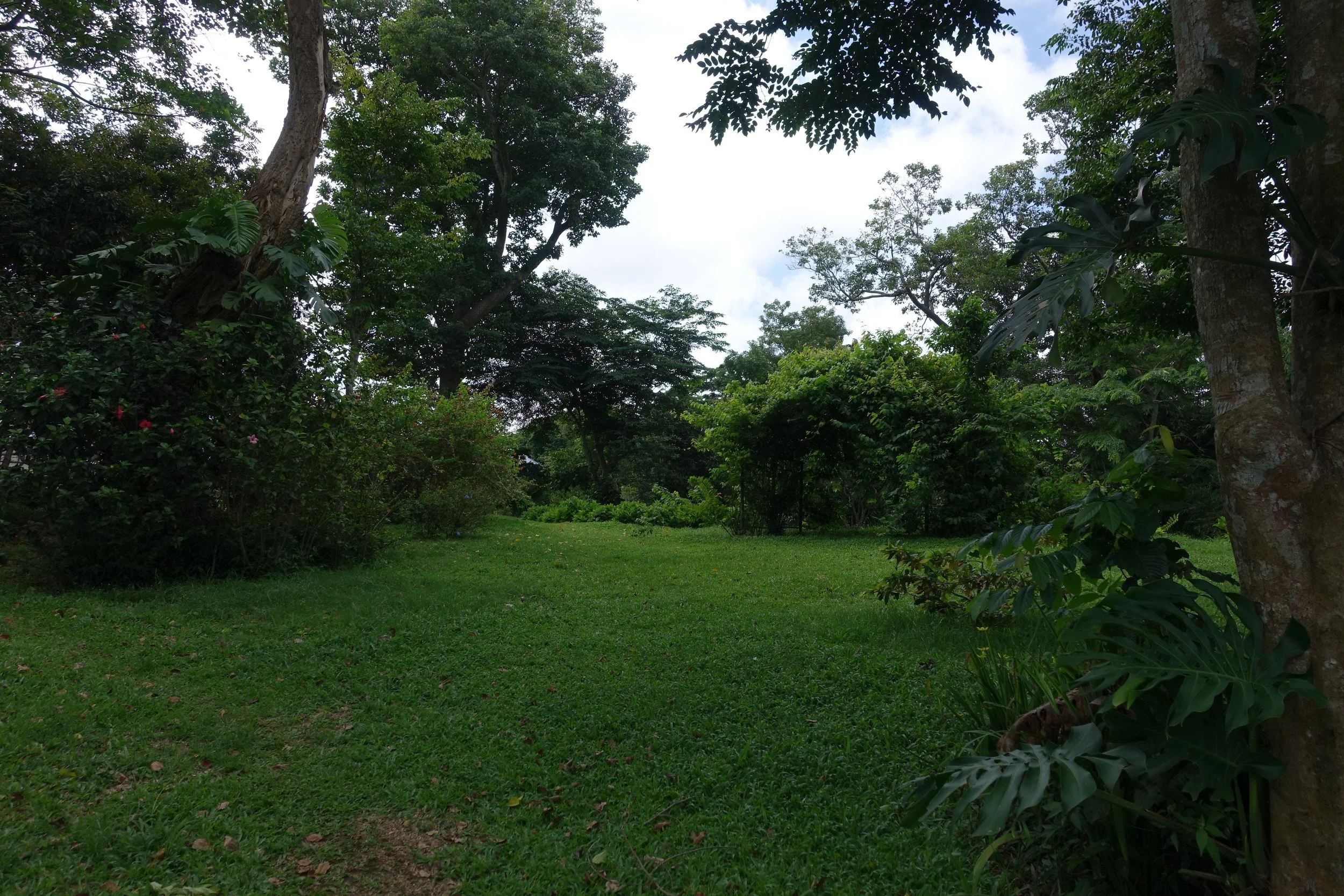 DSC07086