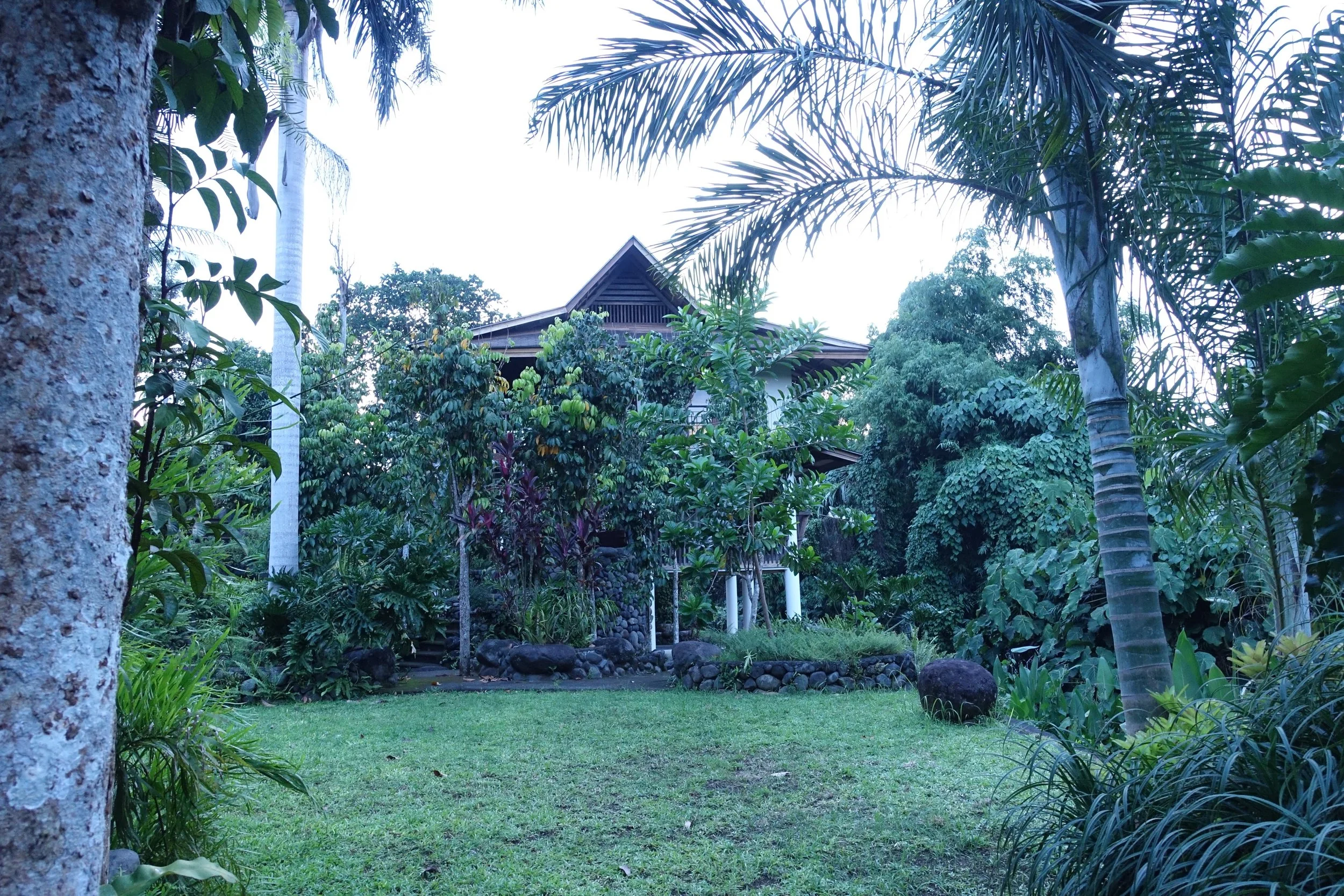 DSC08152