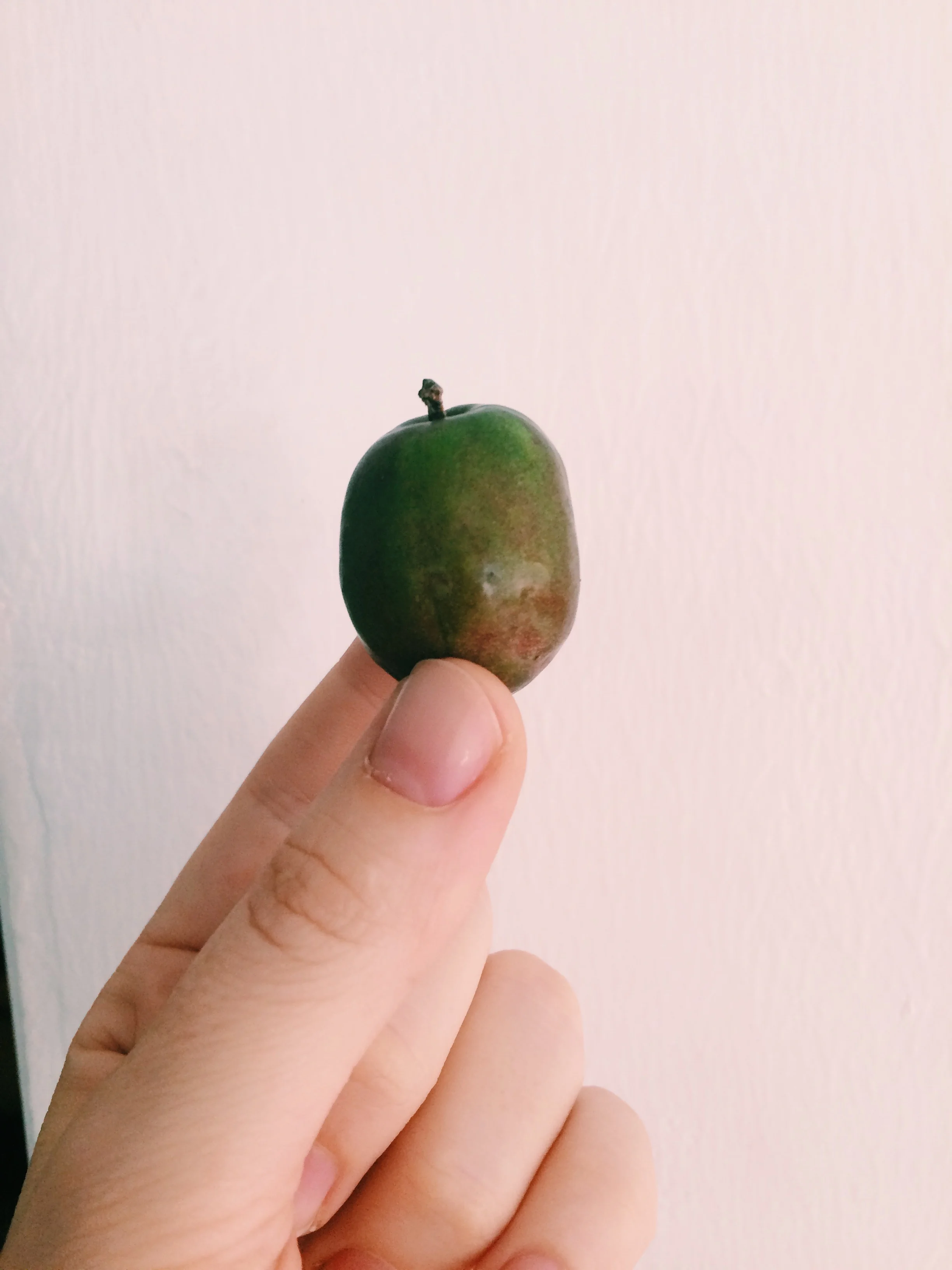 Processed with VSCOcam with c1 preset