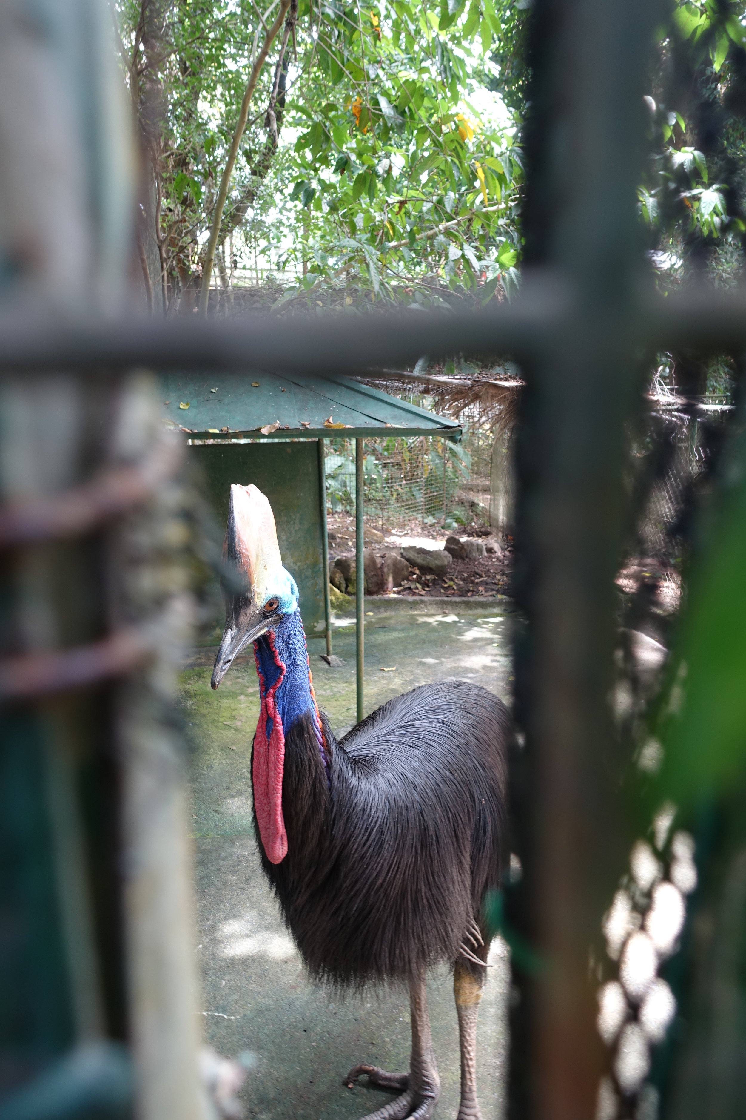 PACEM Eco Park Assumption Antipolo A Momma Abroad pacem-eco-park-assumption-antipolo-a-momma-abroad