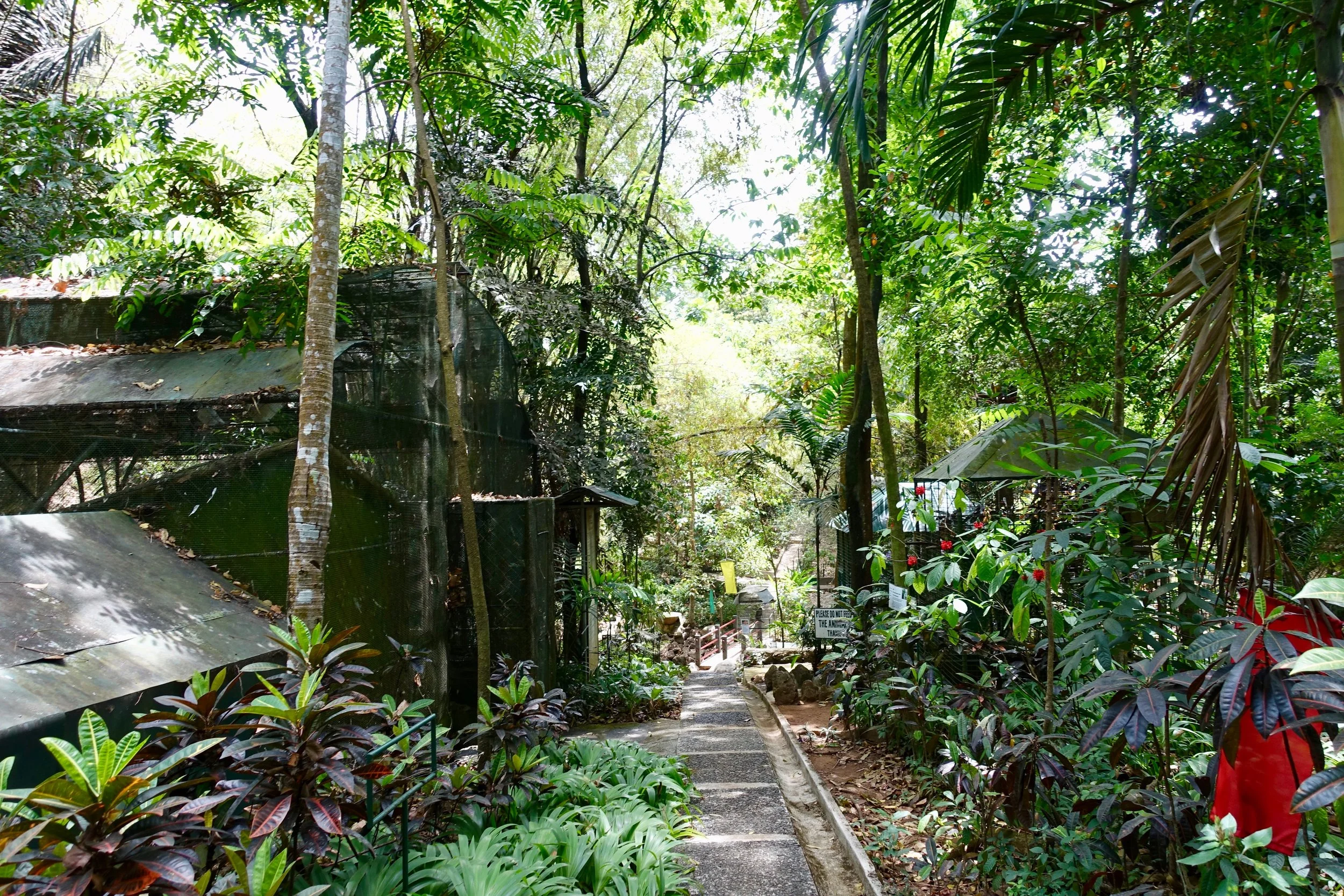 PACEM Eco Park, Assumption Antipolo — A Momma Abroad