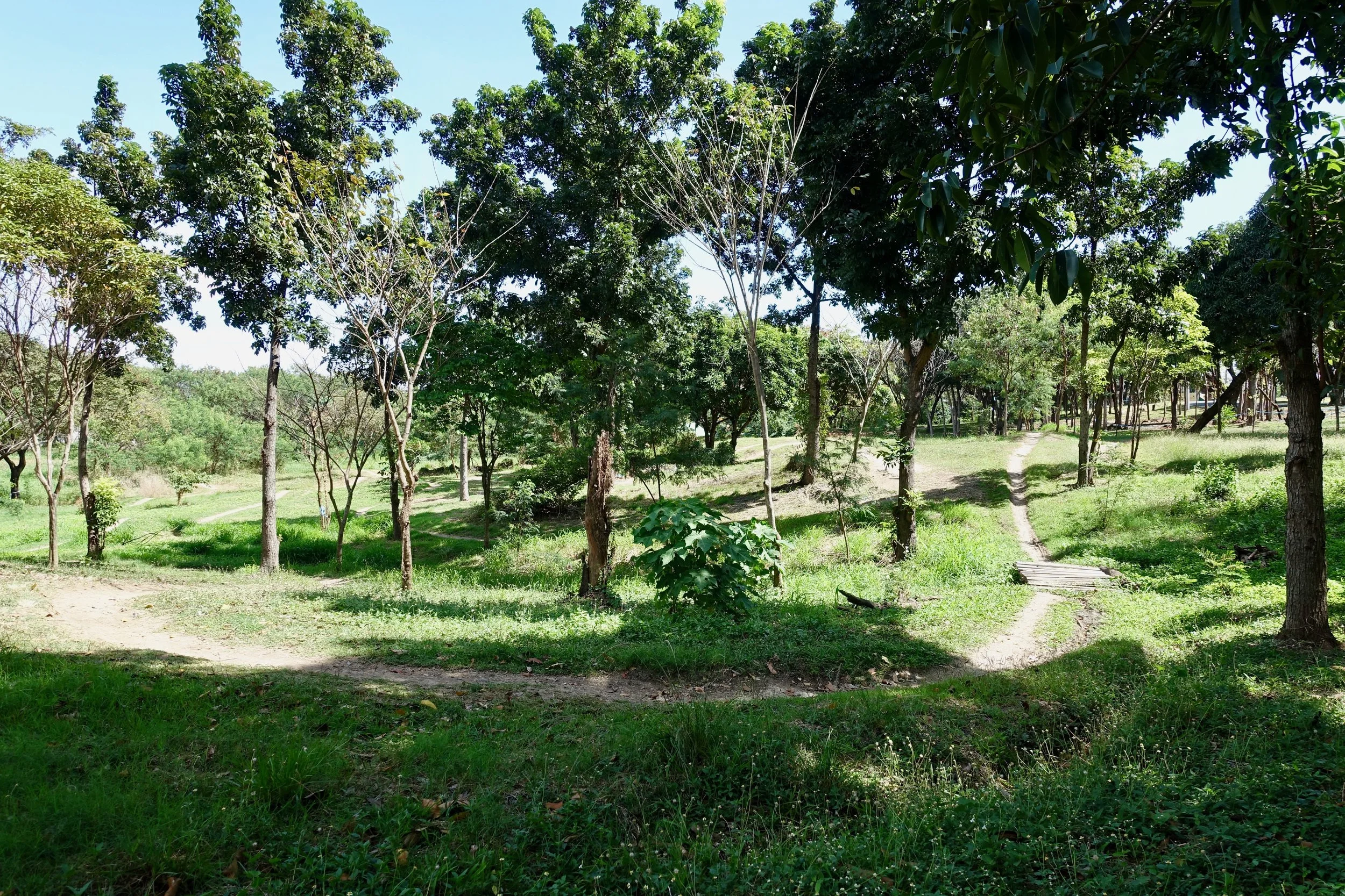 DSC02511
