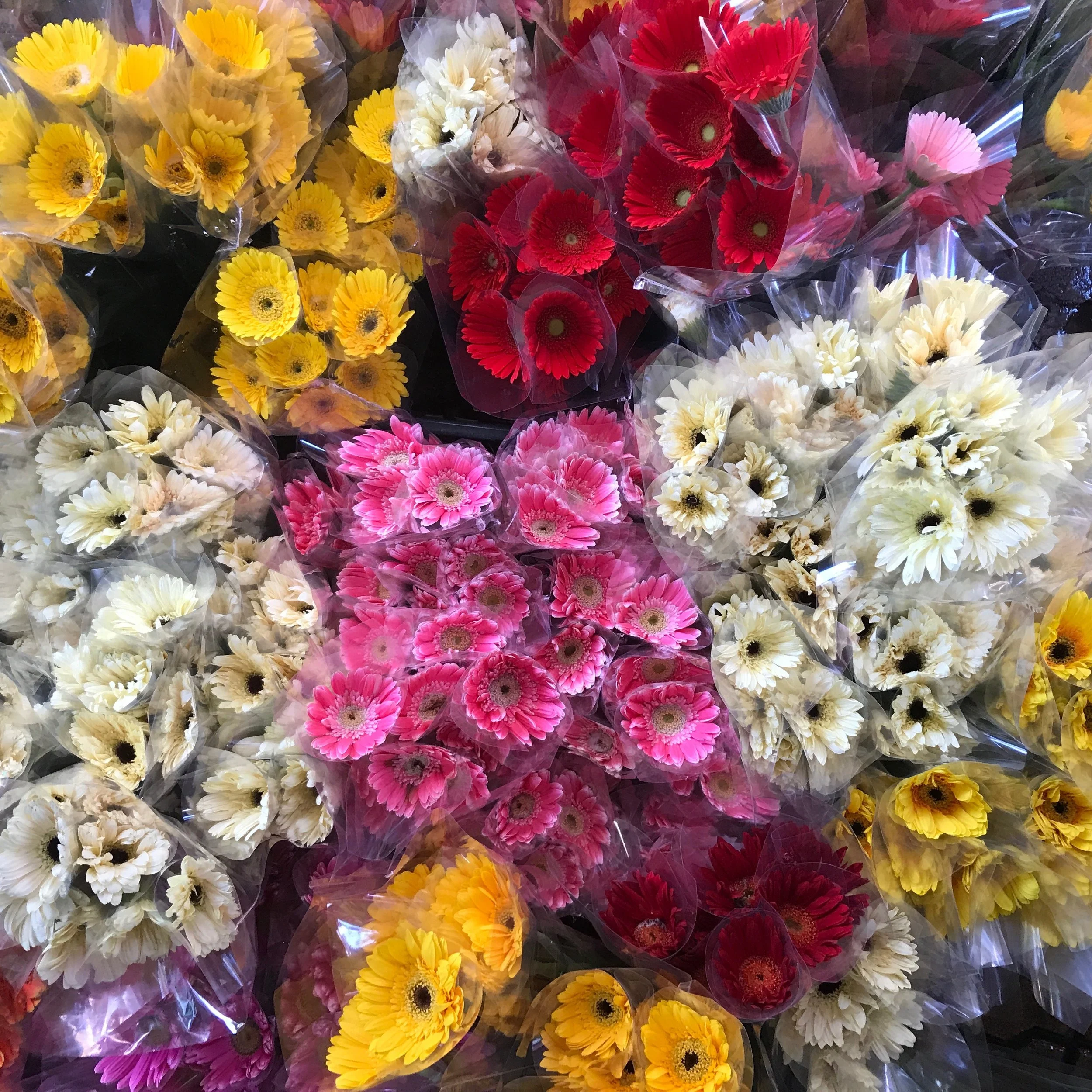 Dangwa Flower Market — A Momma Abroad