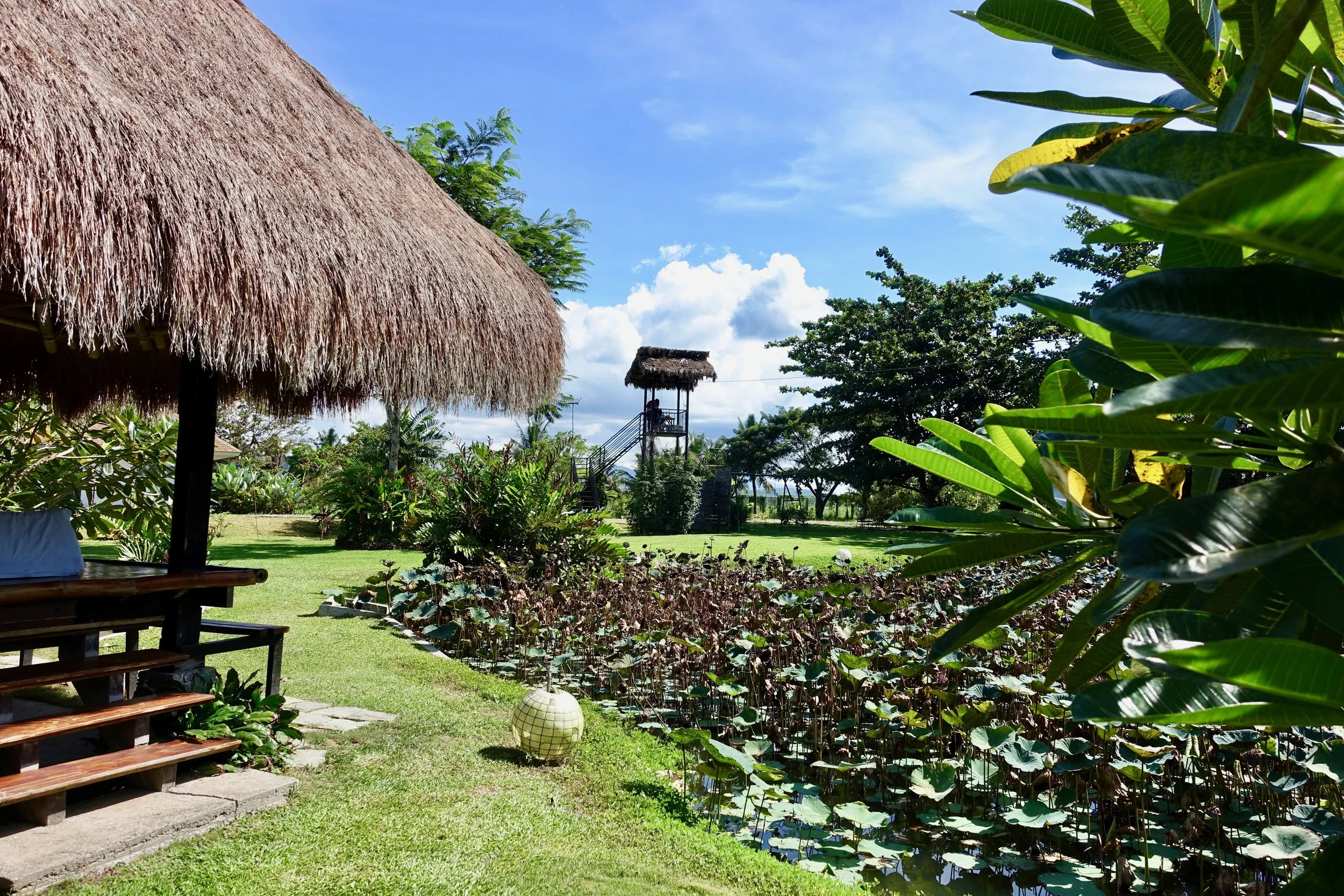 zipline view.jpg