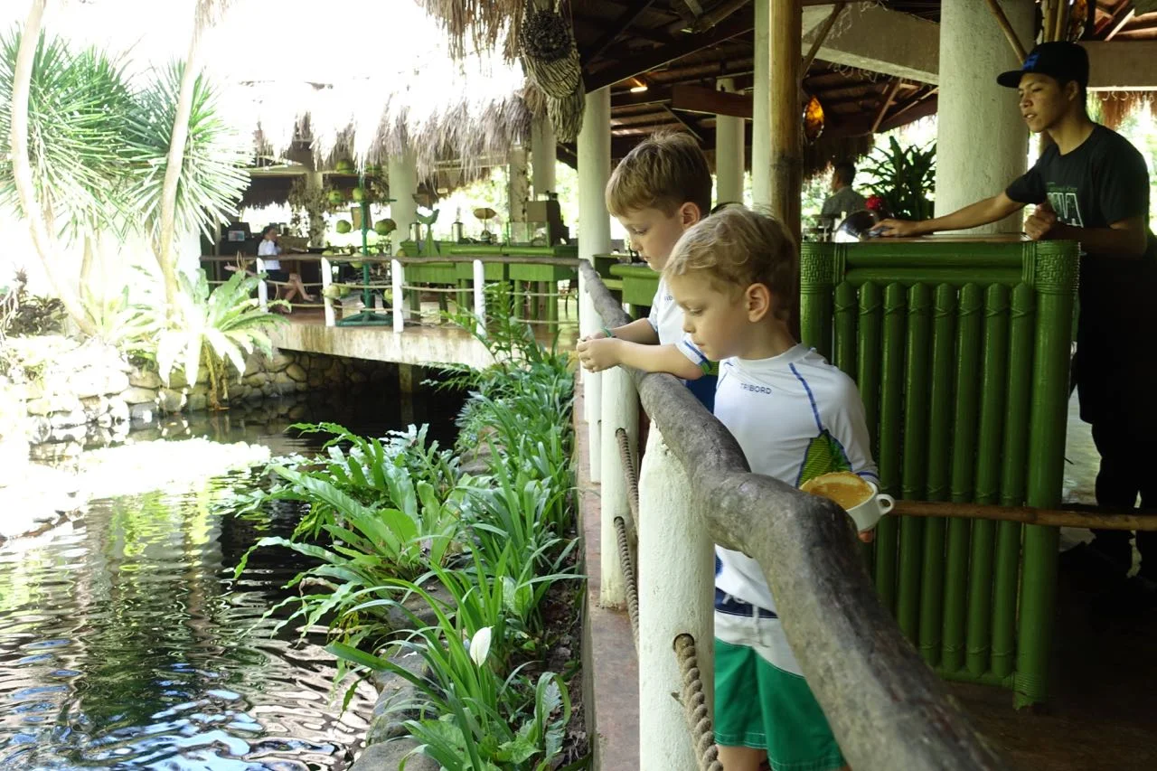feeding the fish.jpg