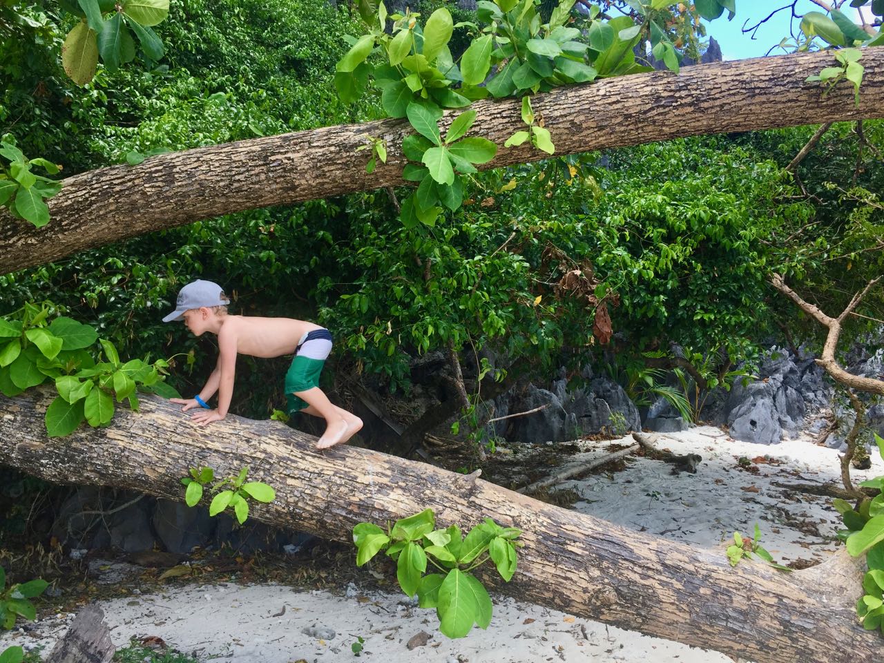 climbing a tree.jpg