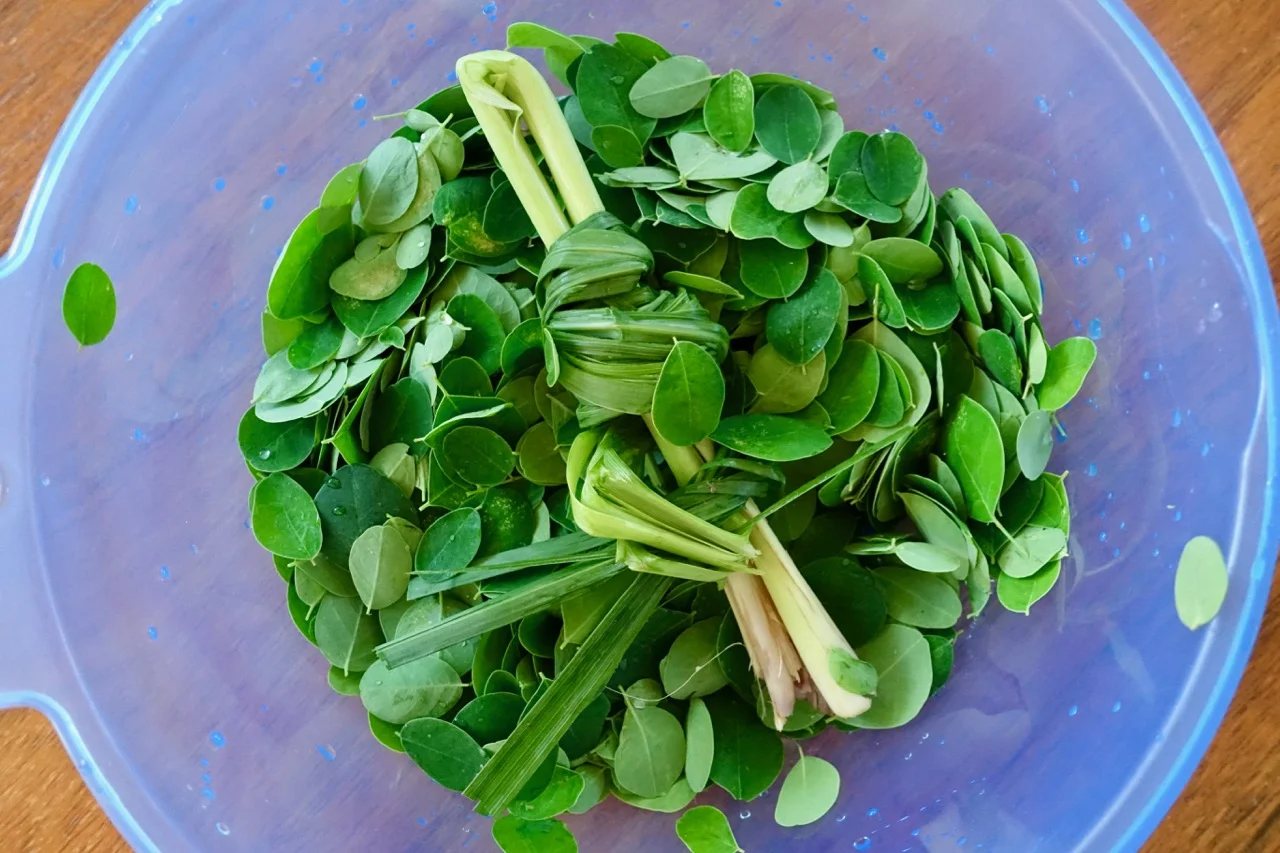 lemon grass + malunggay.jpg