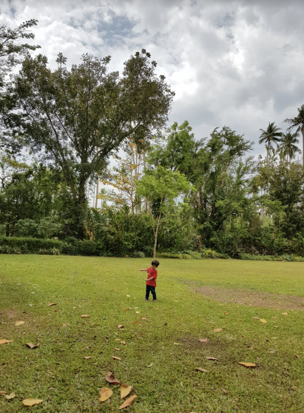 green space.png