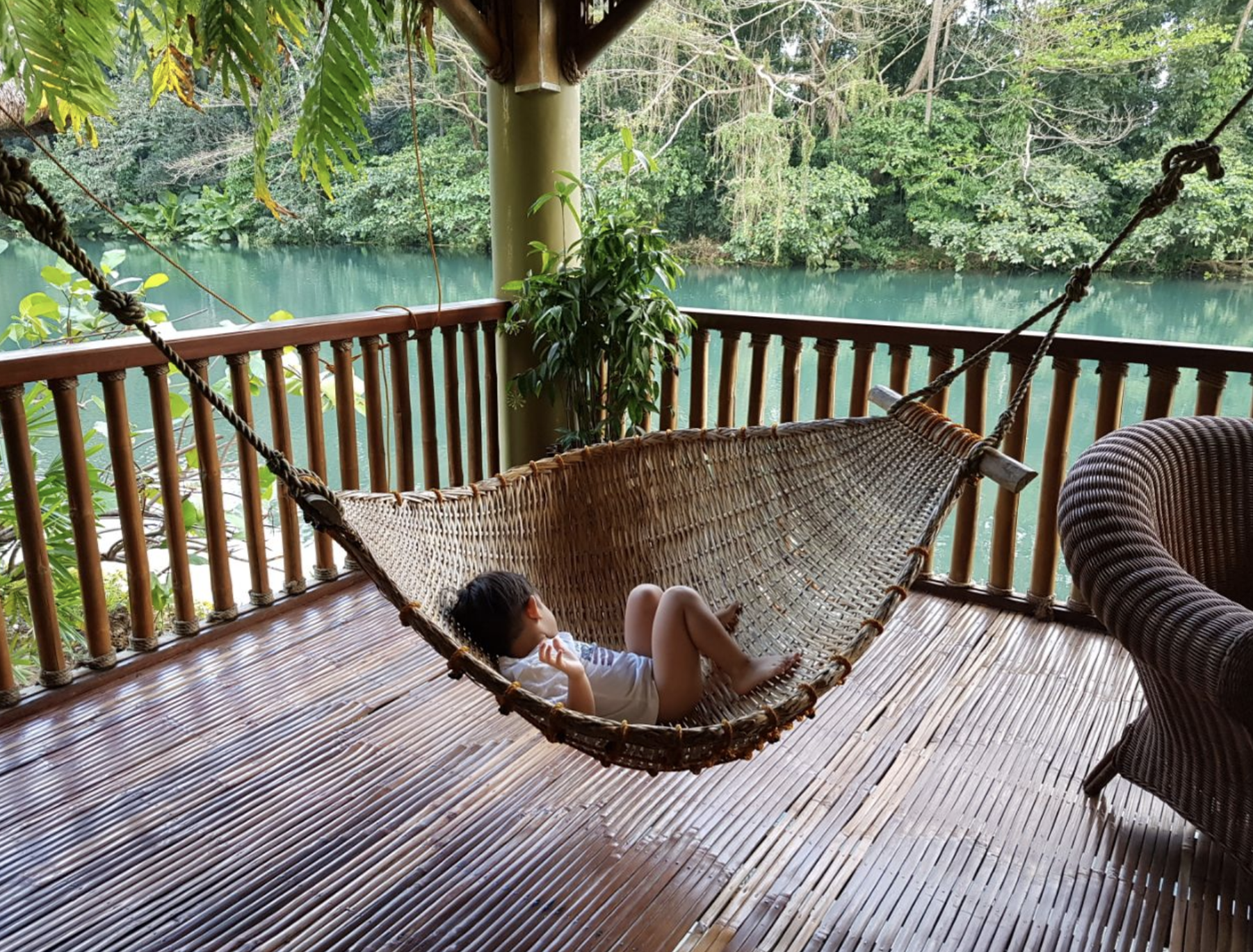 inigo in a hammock.png