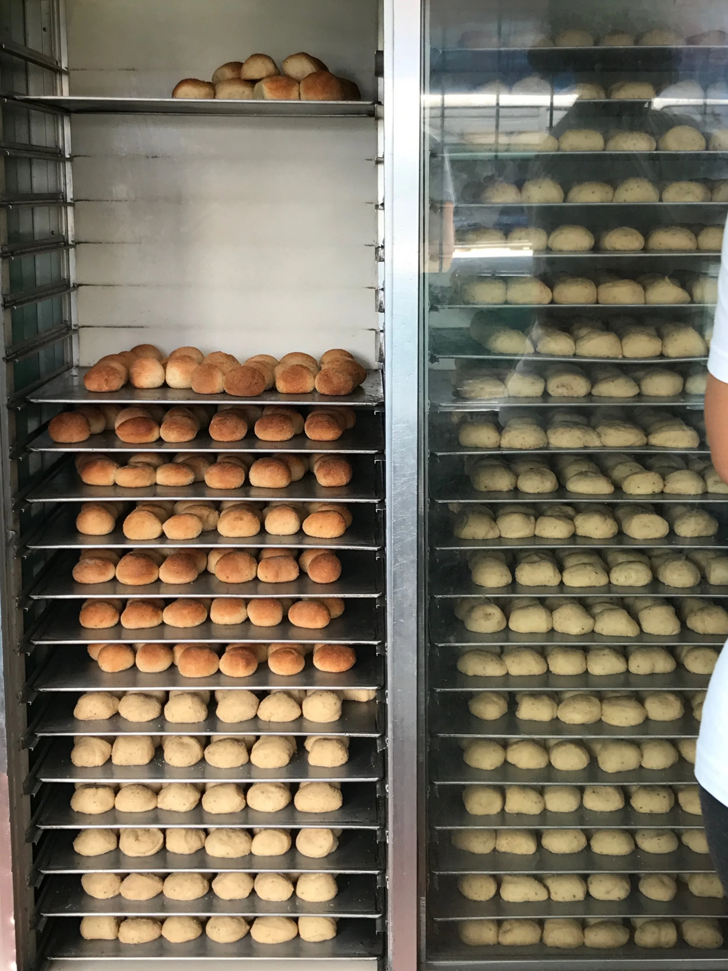 rows on rows.jpg