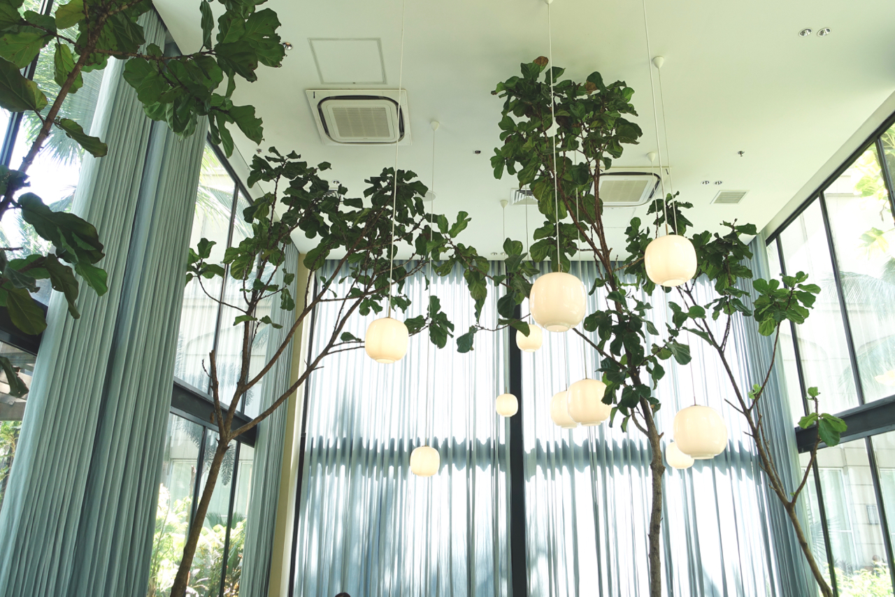fiddle leaf.jpg