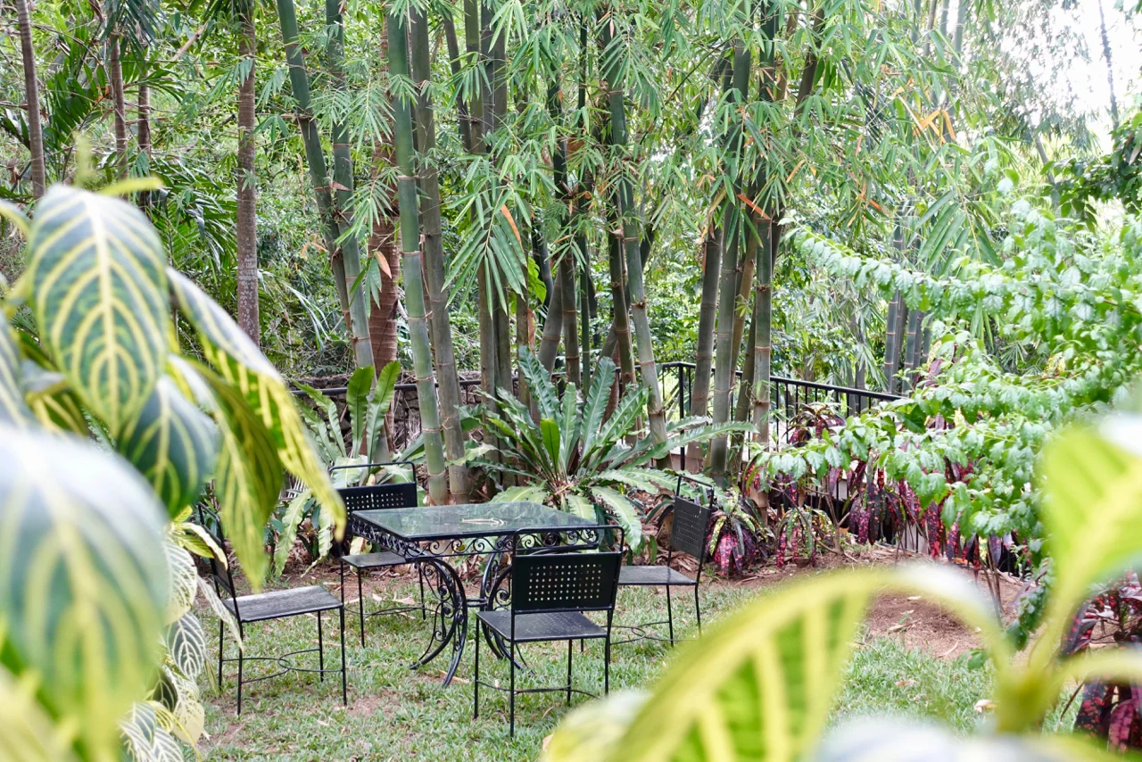 breakfast outside.jpg