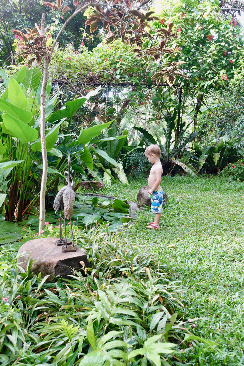 lotus pond l.jpg