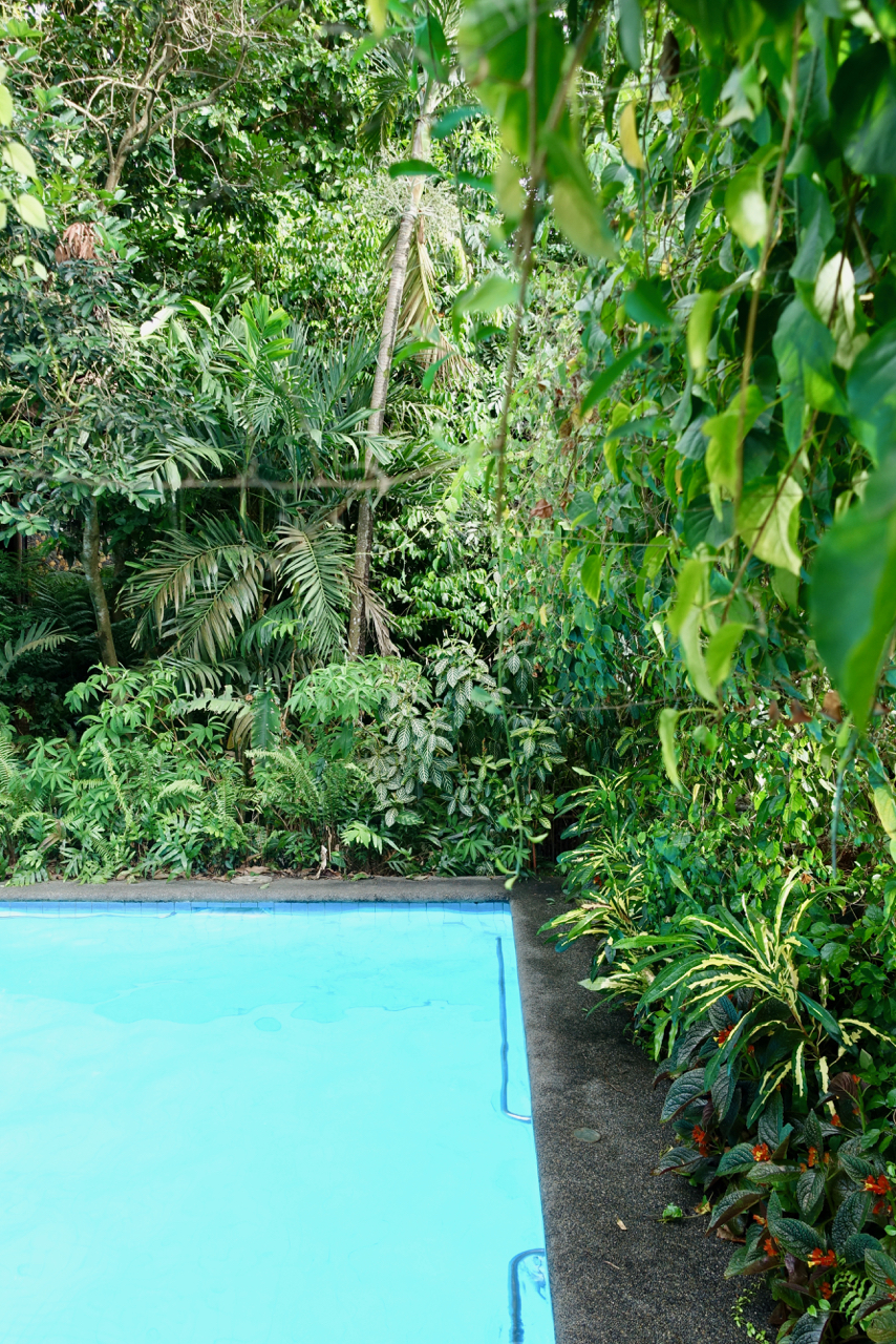pool lll.jpg