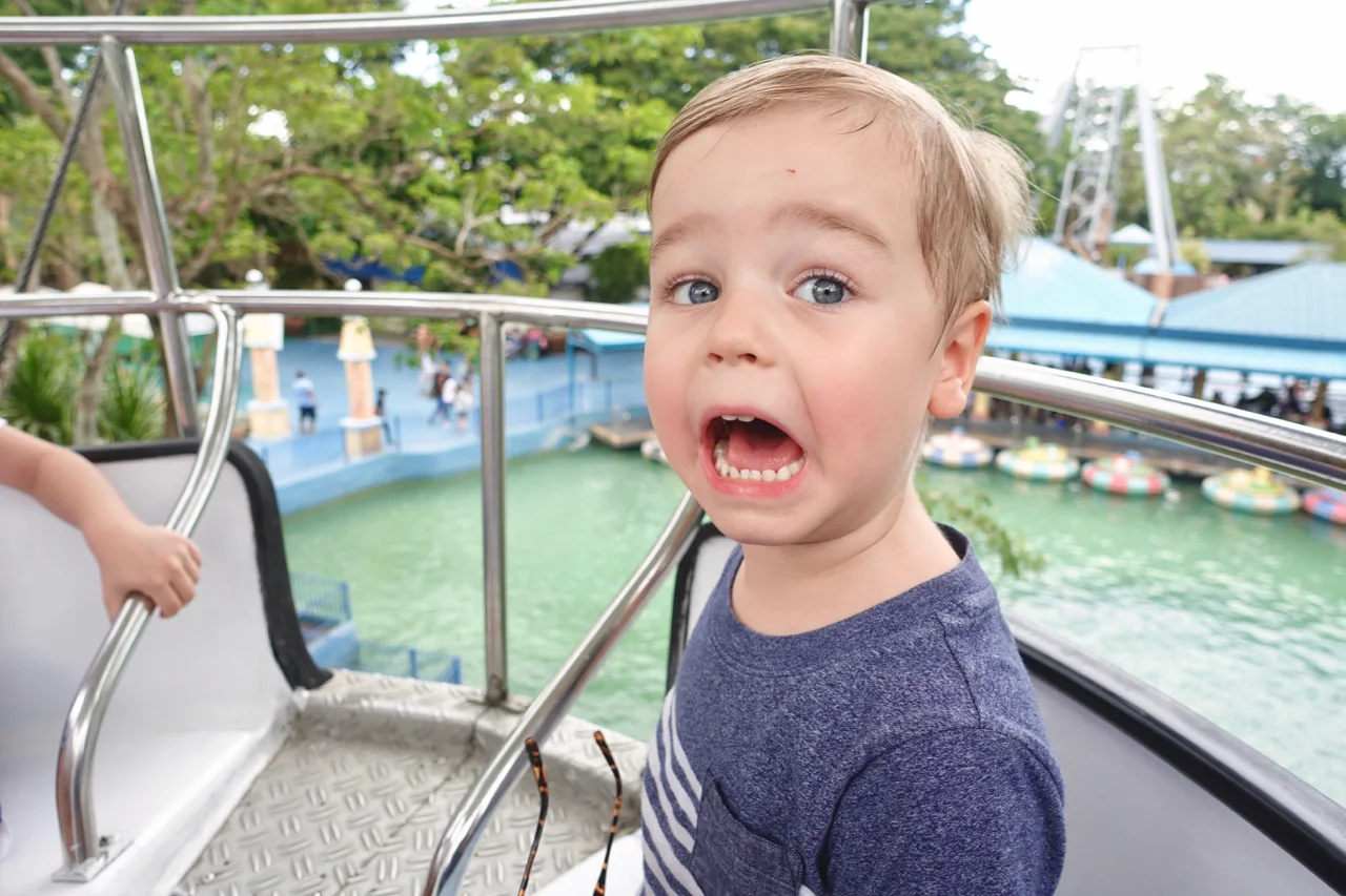ferris wheel lll.jpg