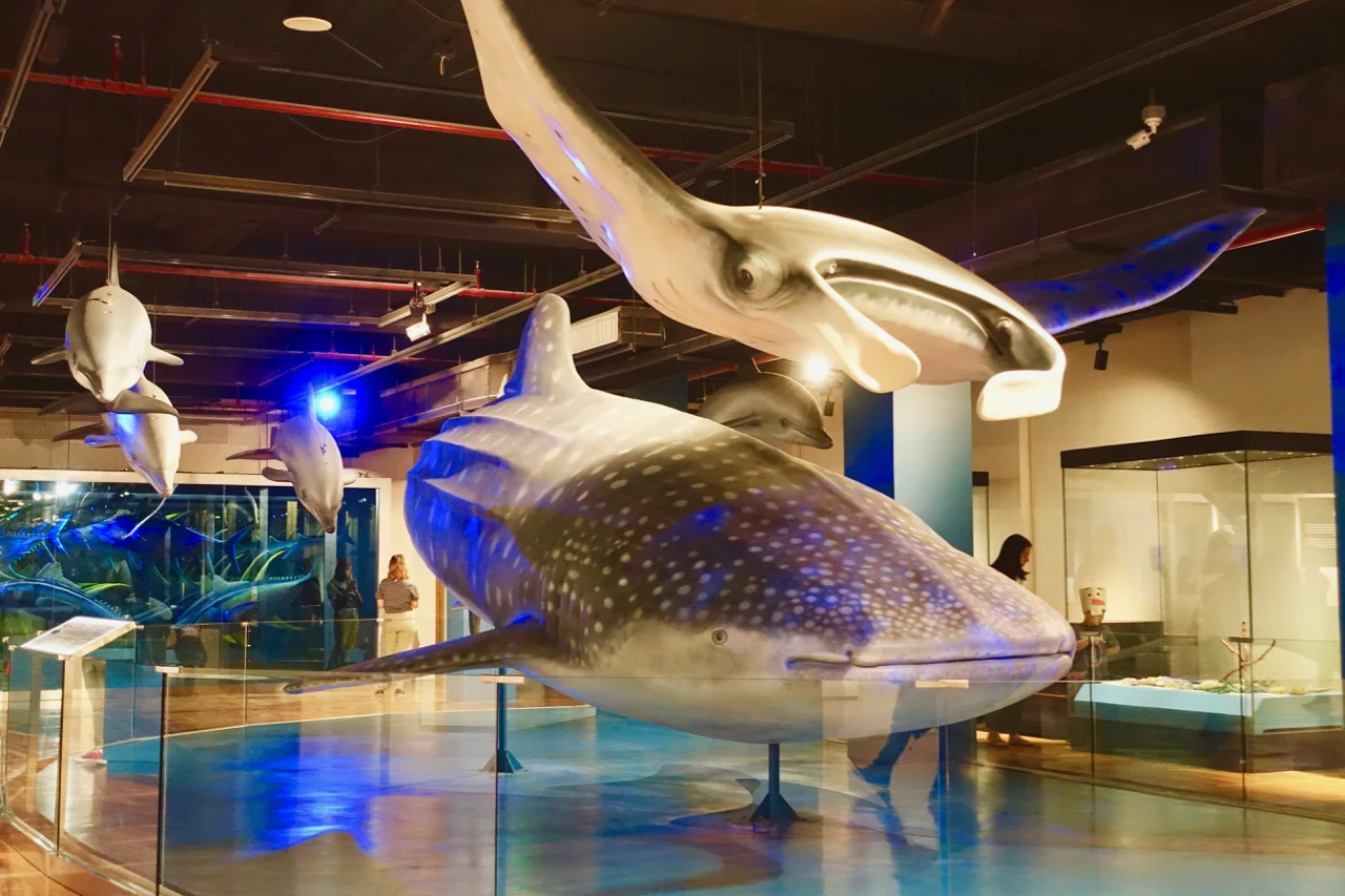 oceanarium ll.jpg