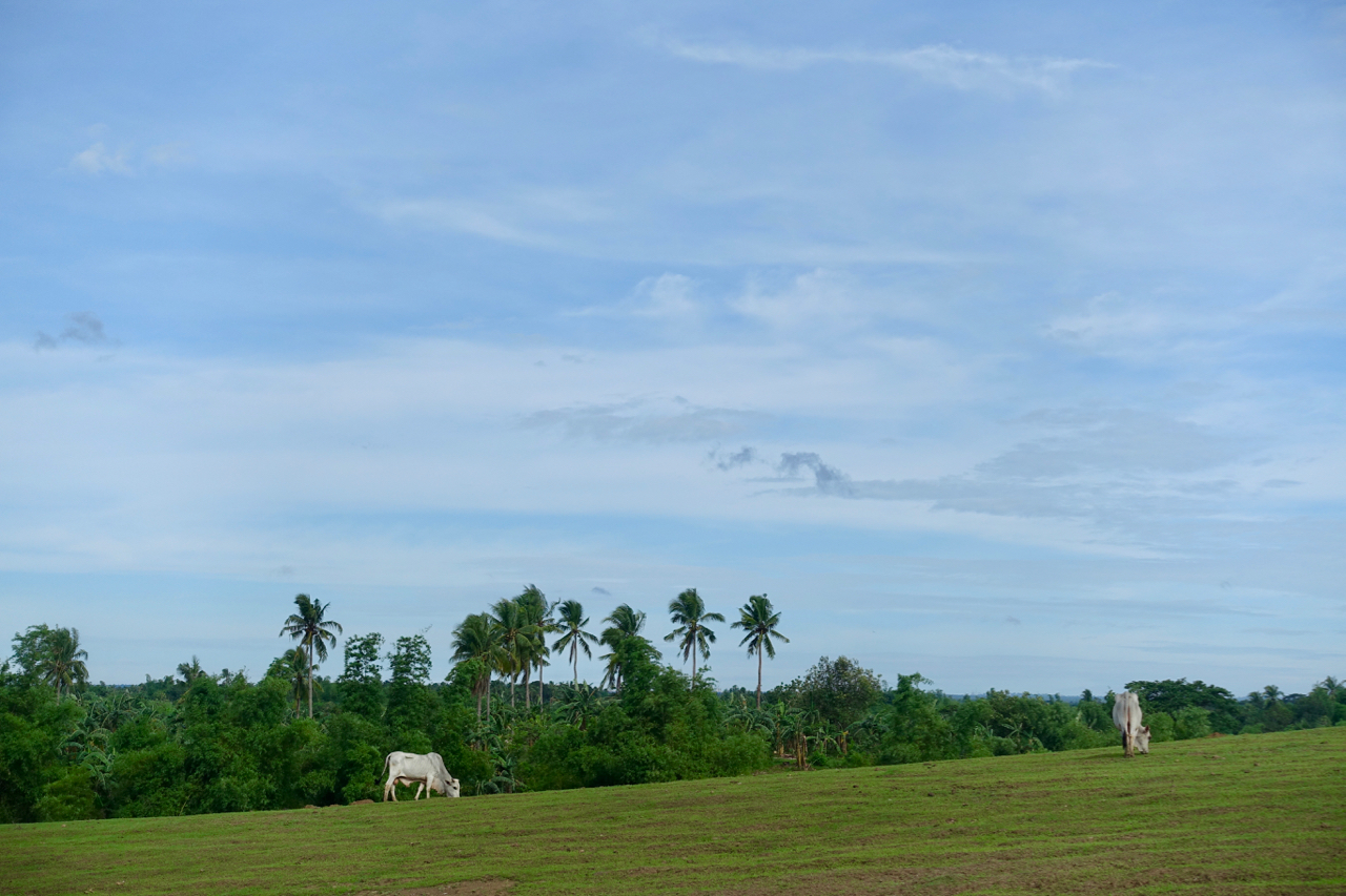 farm tour vll.jpg