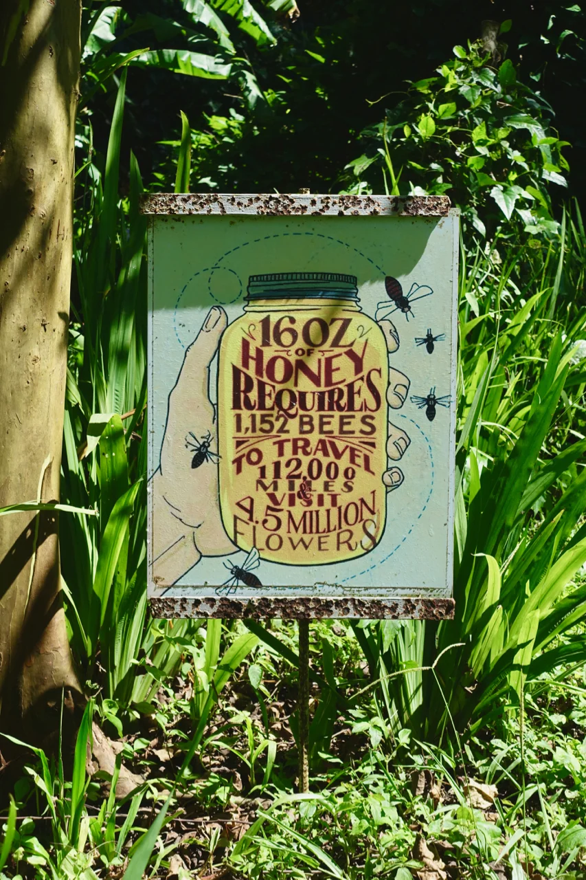 facts l.jpg