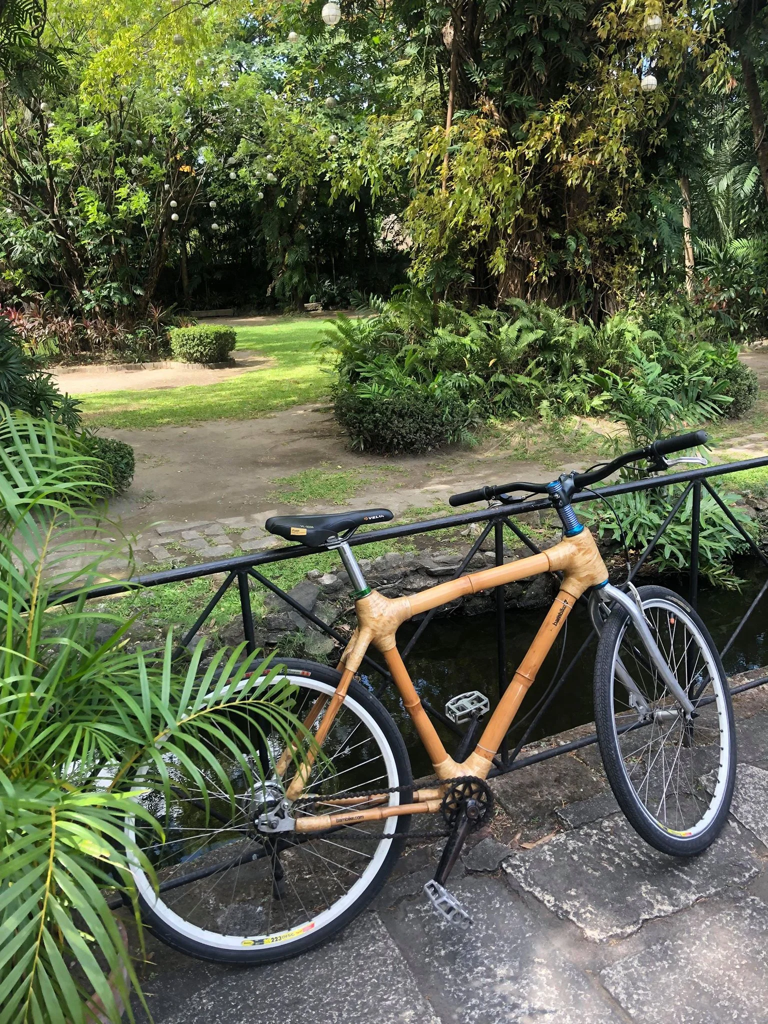 bambike tour.jpg