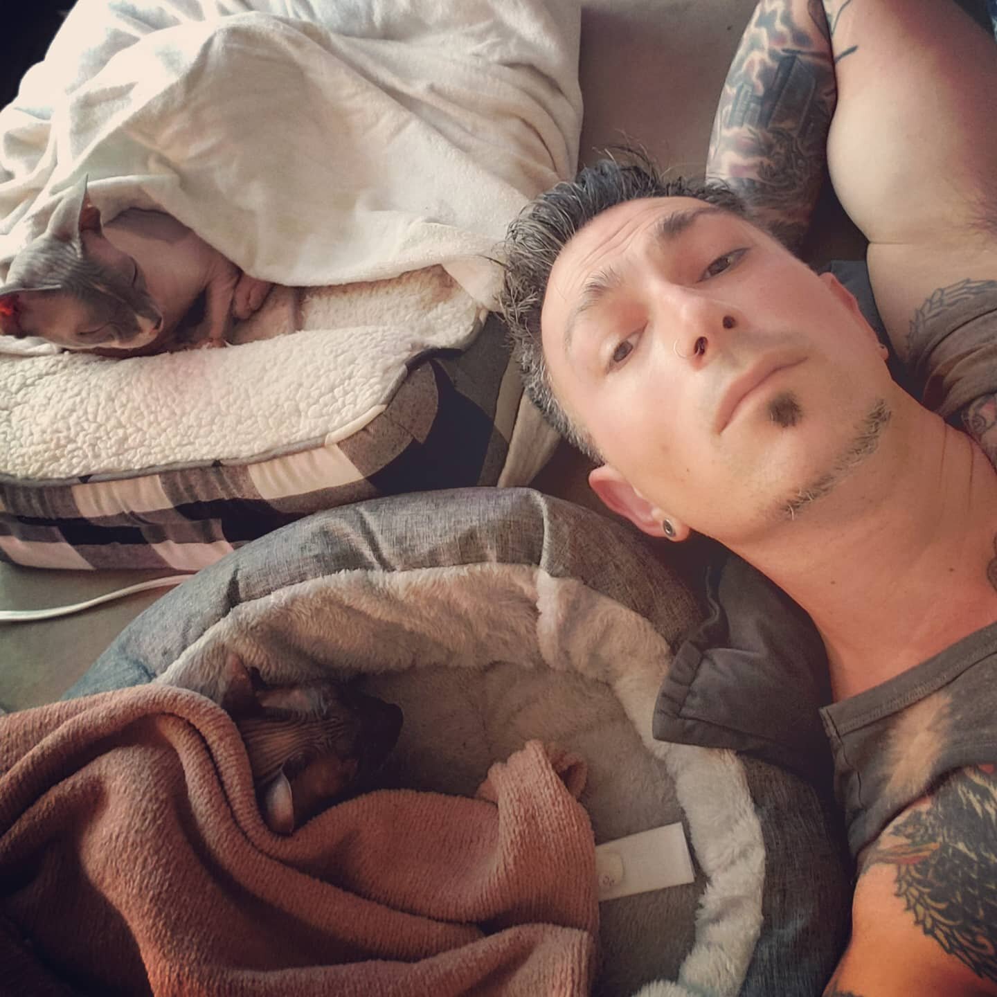 After being tucked in on their heated beds, it's time for a cat nap with our favorite Sphinx sons😸❤
#catsofjc #catsofjerseycity
#responsiblepetcare #catcare #catlovers #professionalpetcare #jerseycitycats #sphynxcat
#sphynx #sphynxcats #sphynxofinst
