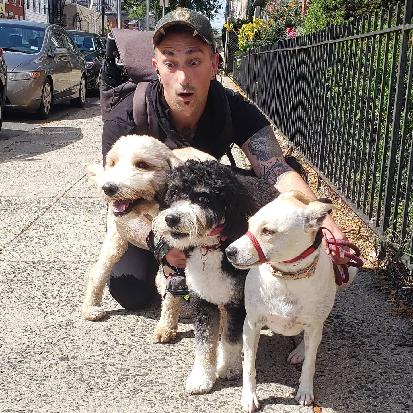Adeline, Molly, and Molly- the &quot;Cute Cerberus&quot; that guards the entrance to frown town!!🤣🐶🌿🌷❤
#lovethesedogs #responsiblewalkers #professionalpetcare #downtownjerseycity #jerseycitypets #dogsofjc #dogsofjerseycity @dogsofhamiltonparkjc #