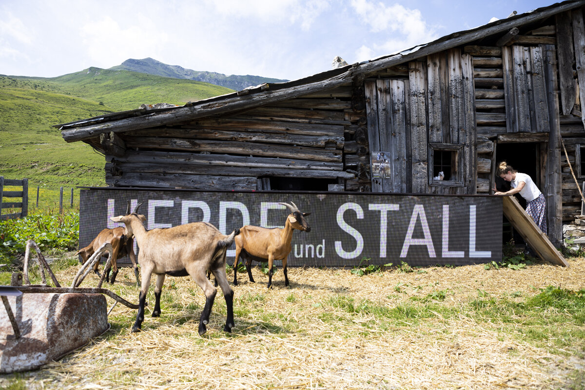 Herde&Stall-54.jpg