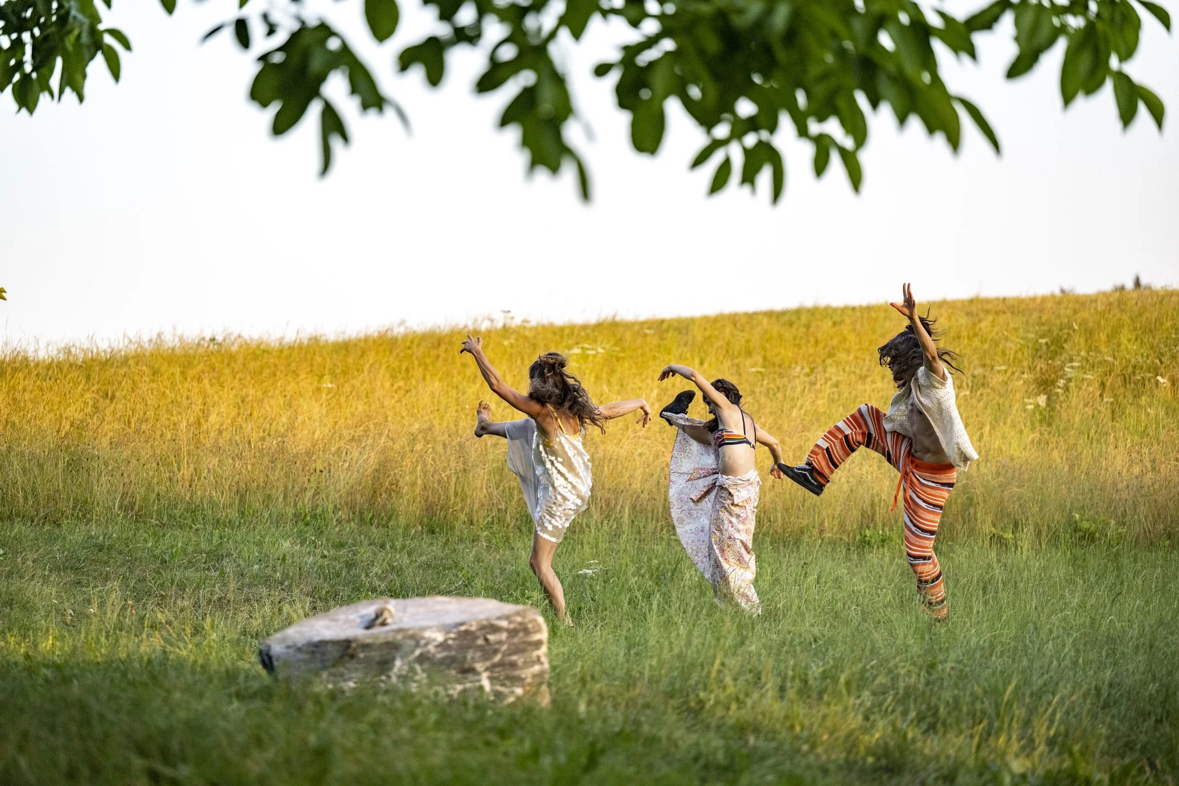 Feldversuche und Zimmerpflanzen