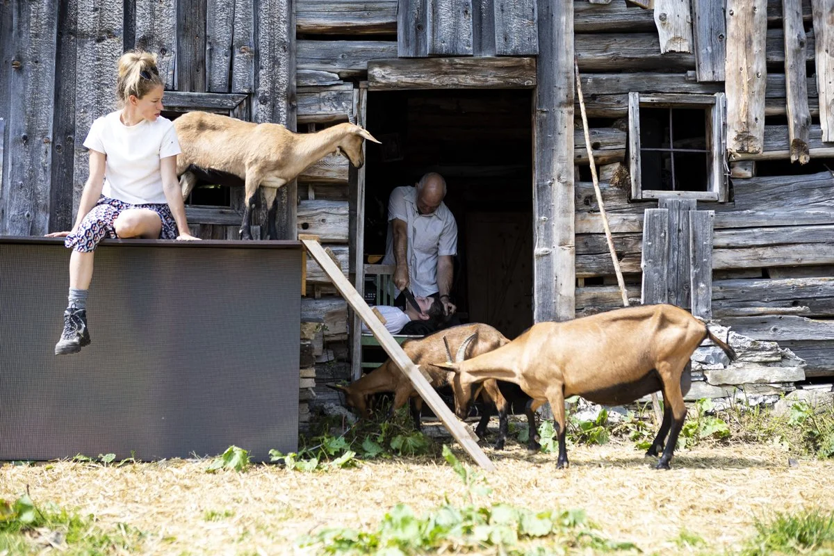 Revolution oder Neuerfindung
