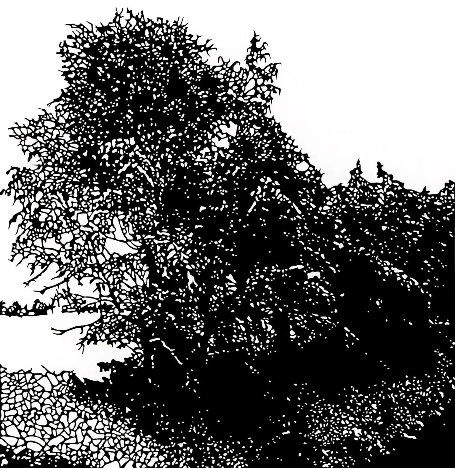 Am Ufer des Rotten