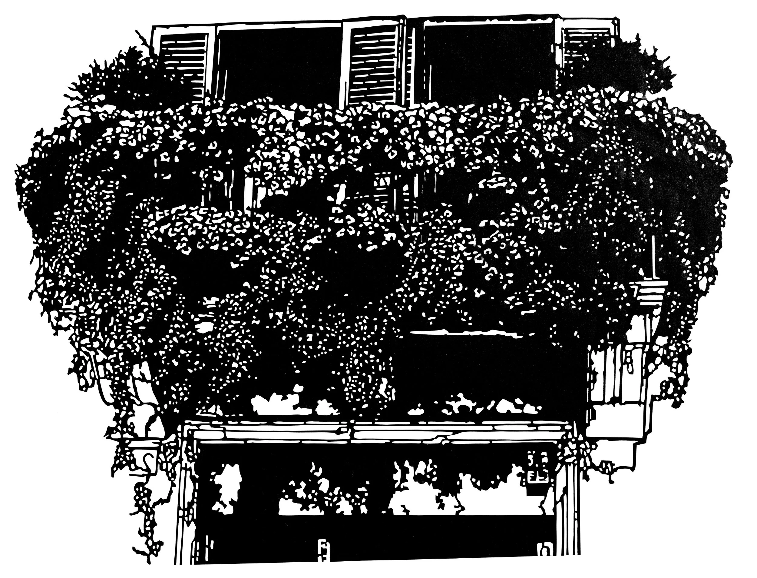 Das Fenster zum Hof