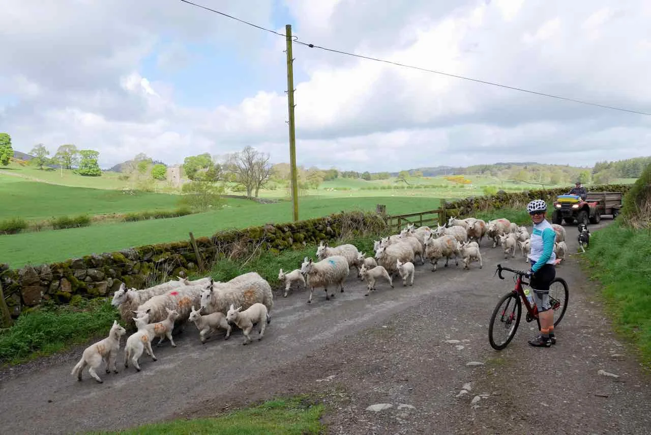 Local traffic jam